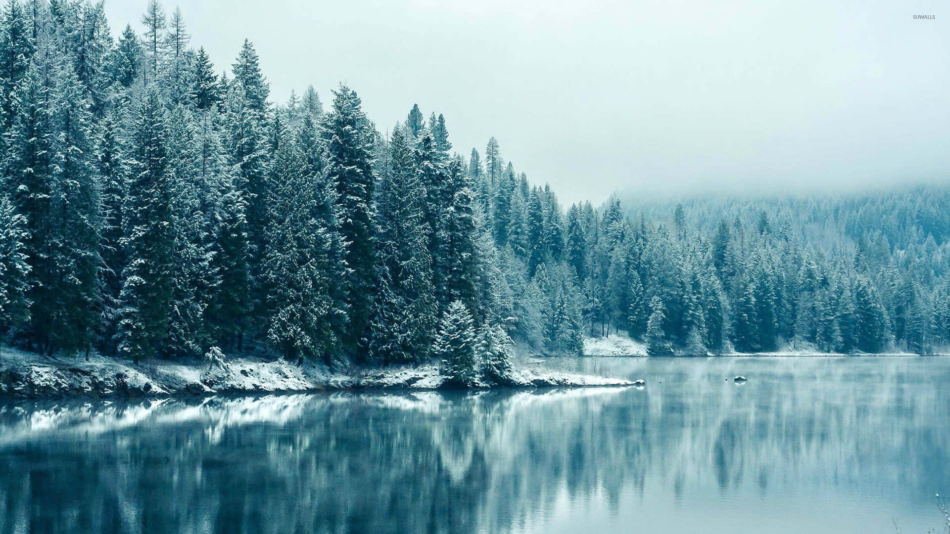 Caption: Serene Snowy Winter Landscape Wallpaper