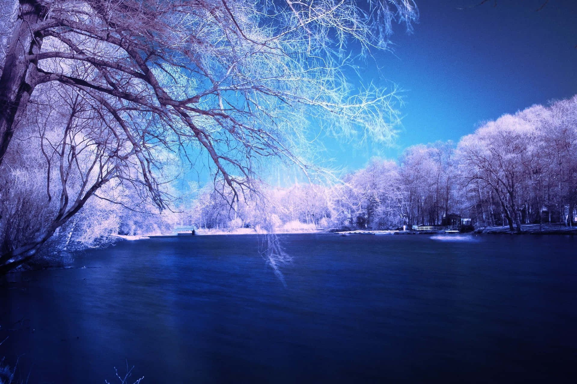 Snowy landscape with trees and blue sky Wallpaper