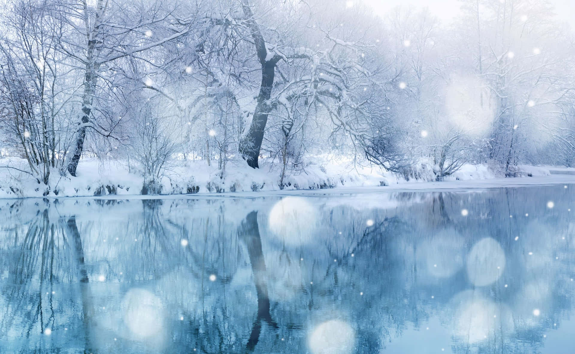 The Serenity of Winter Blues in a Snow-Covered Forest Wallpaper
