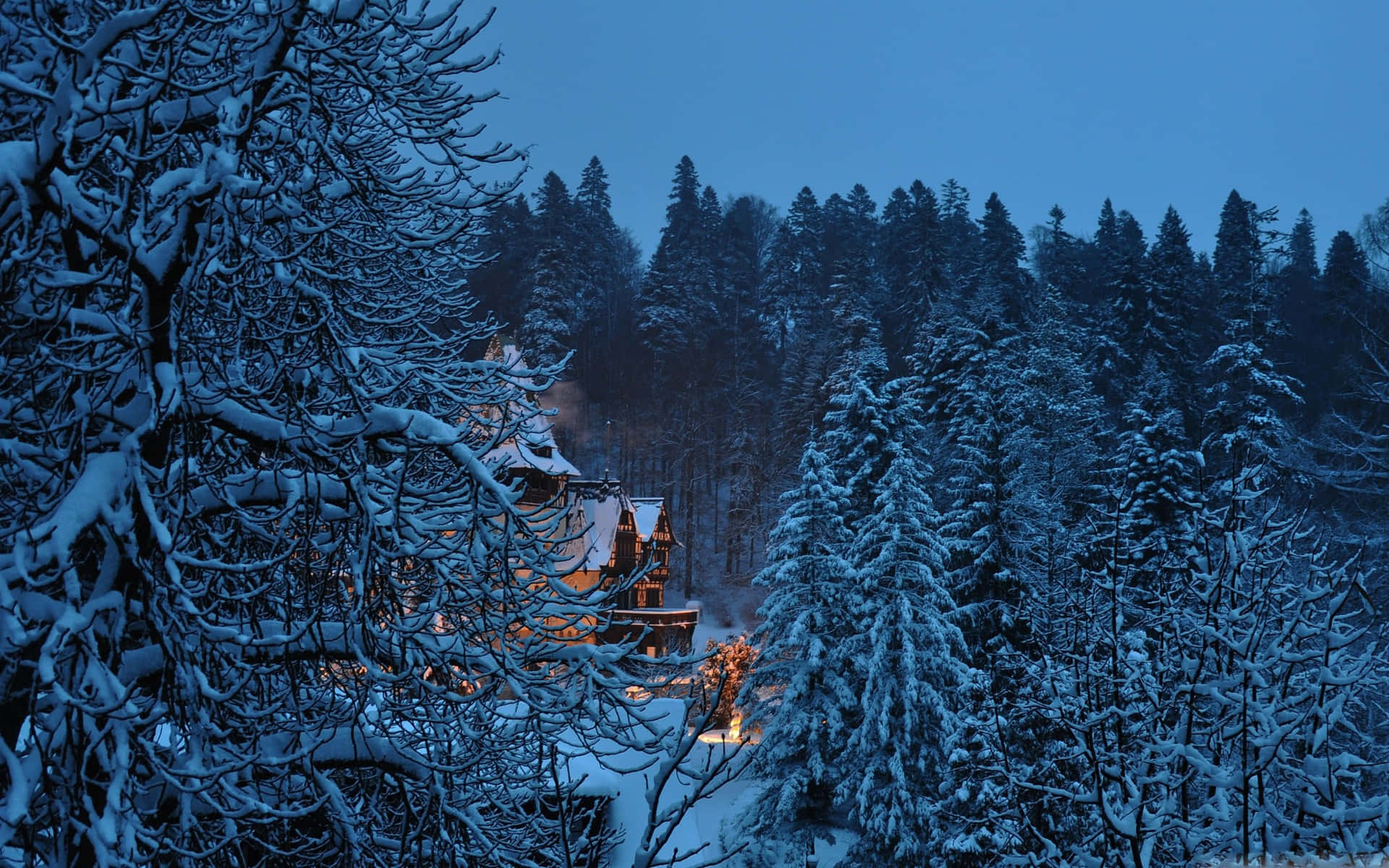 A serene winter landscape with snow-covered trees and a winding river Wallpaper