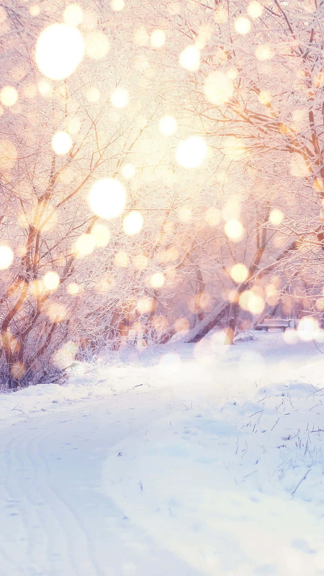 Winter Bokeh Wonderland.jpg Wallpaper