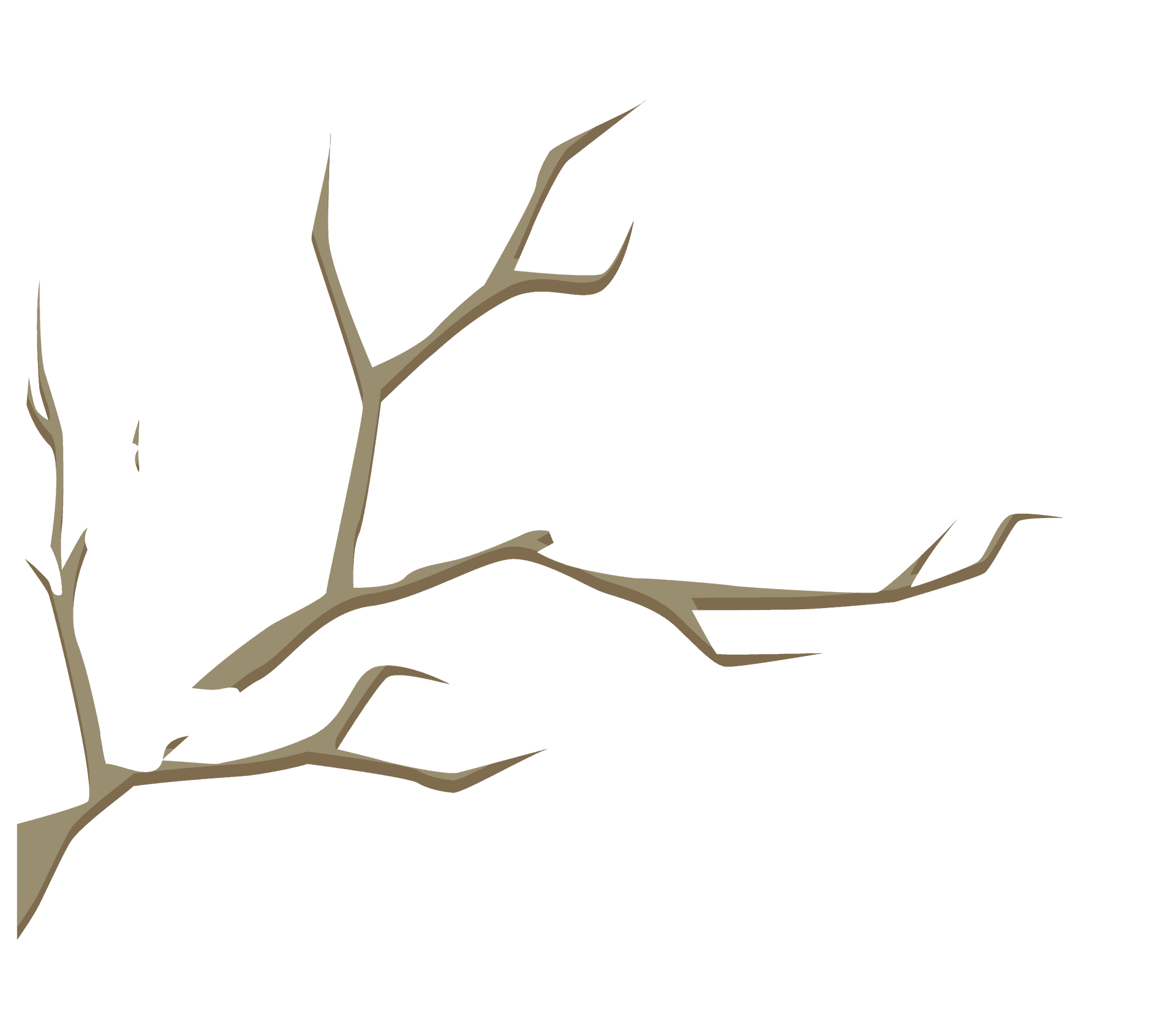 Winter Branches Snowfall.png PNG