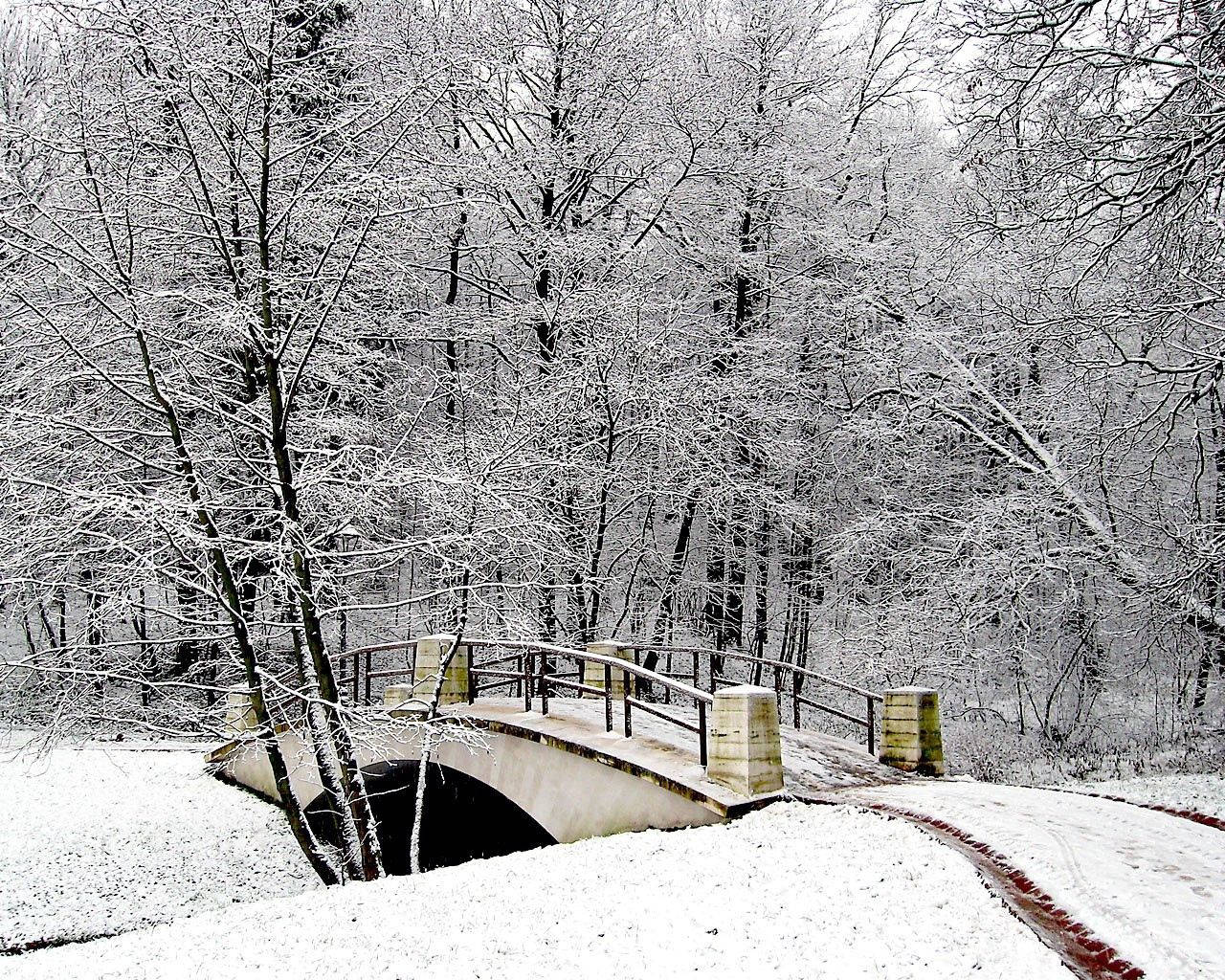 Winter Bridge Park