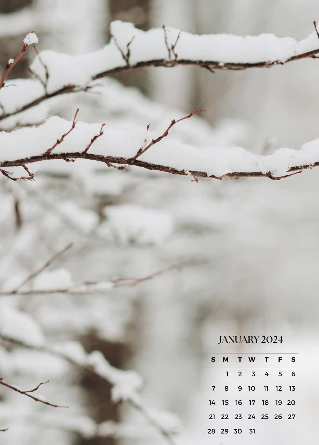 Winter_ Calendar_ Background_ January_2024 Wallpaper