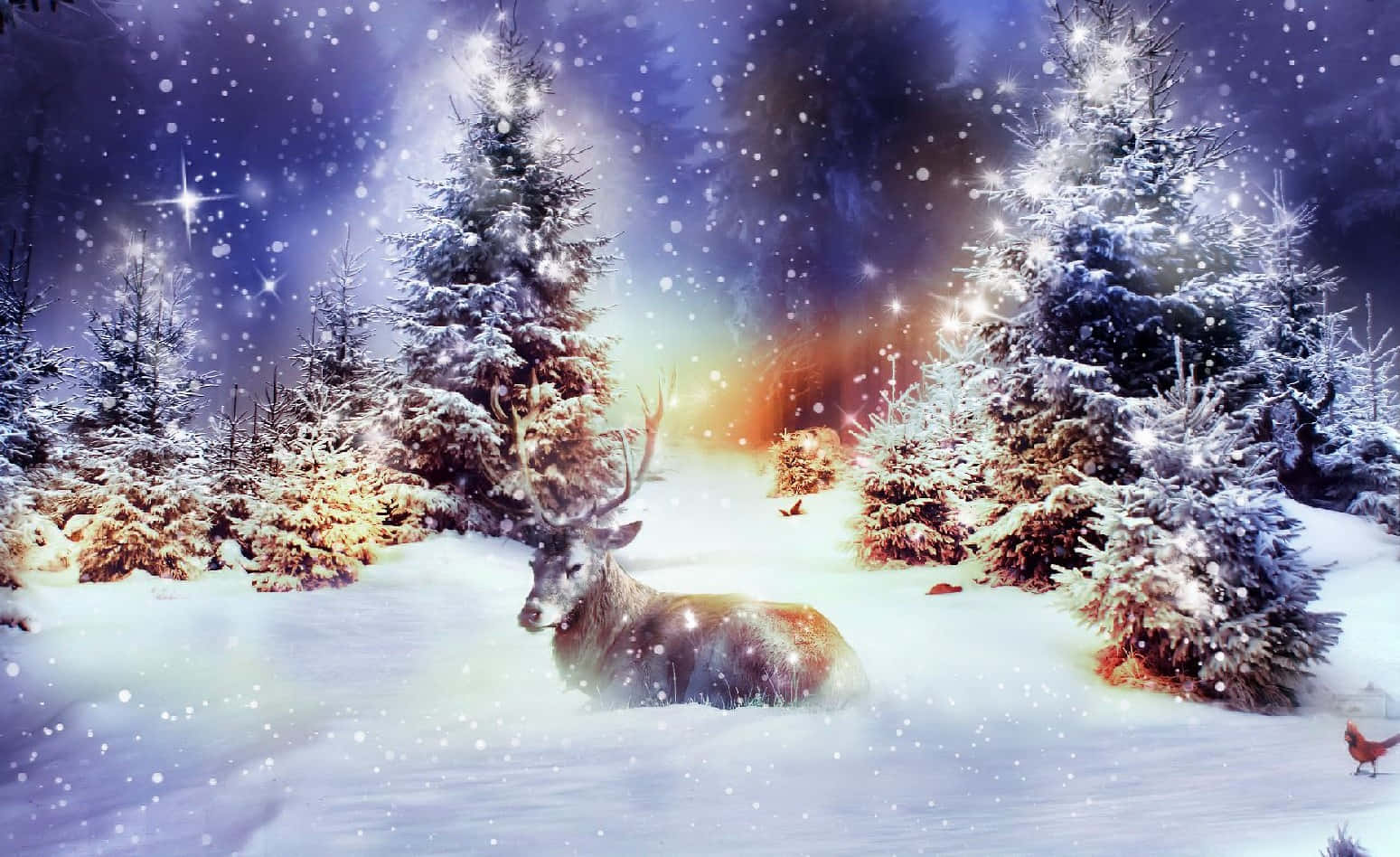Enchanting Winter Christmas Scene