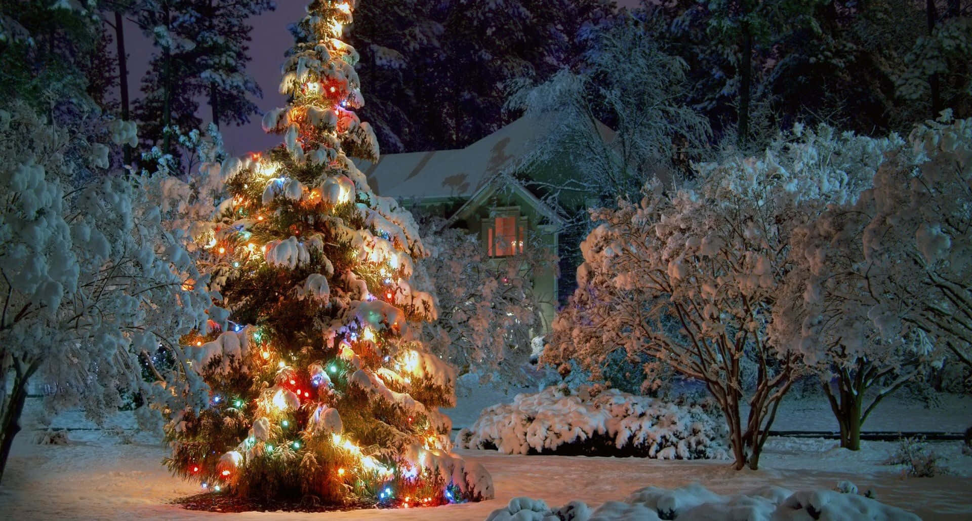 A Magical Winter Wonderland Christmas Scene