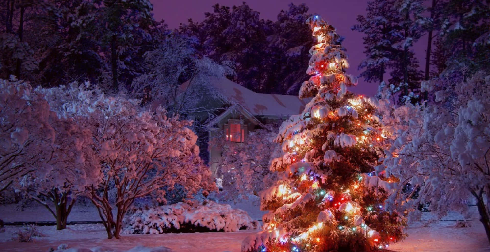 Magical Winter Wonderland at Christmas