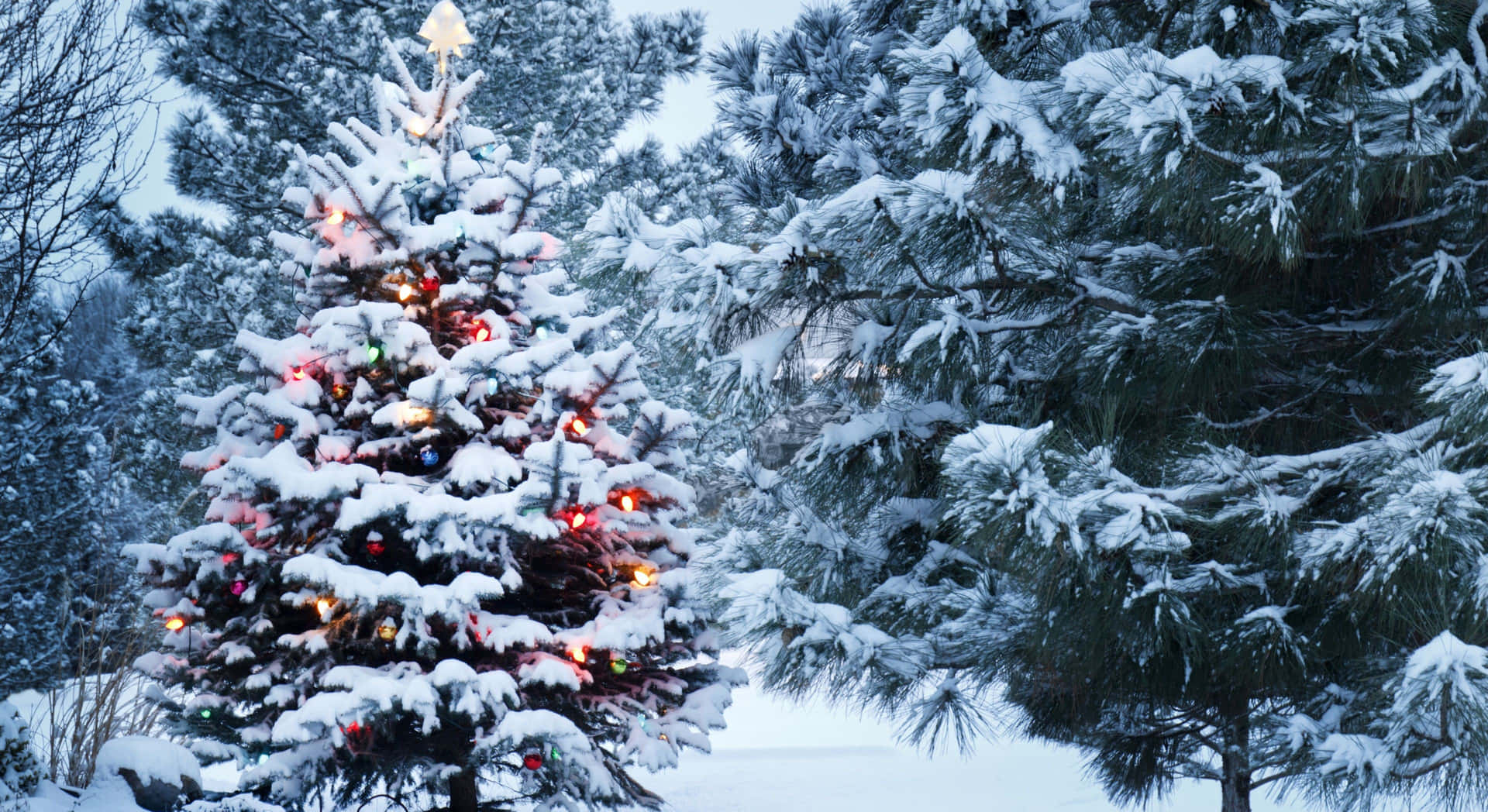 Magical Winter Wonderland on Christmas Eve