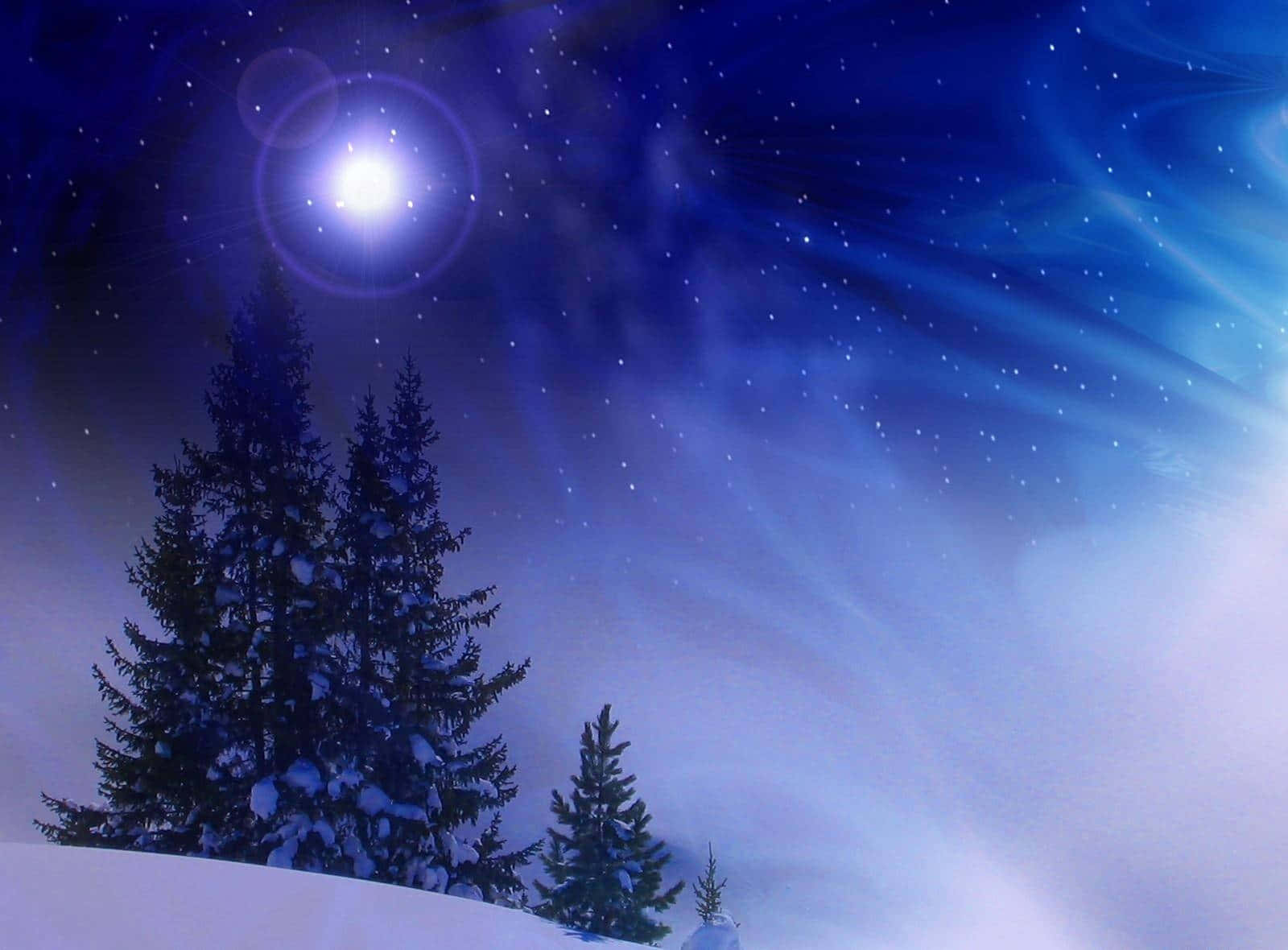 Winter Christmas Night Desktop Wallpaper