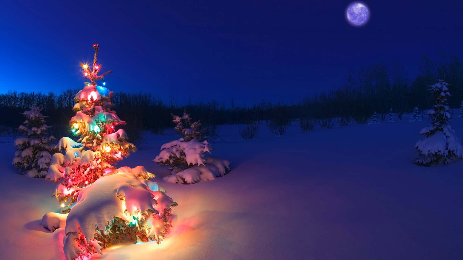 Winter Colorful Christmas Tree Desktop Wallpaper