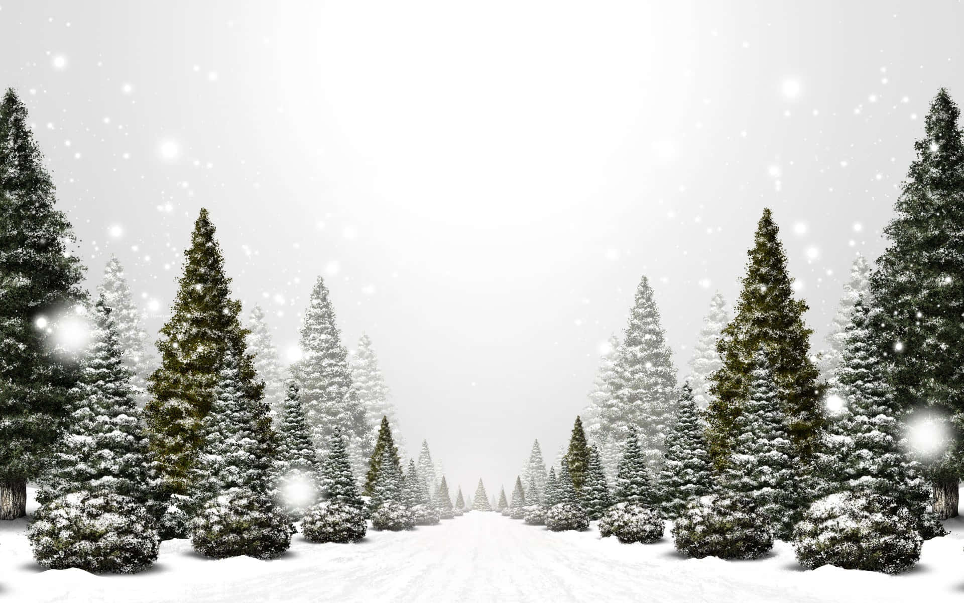 Winter Christmas Black White Desktop Wallpaper
