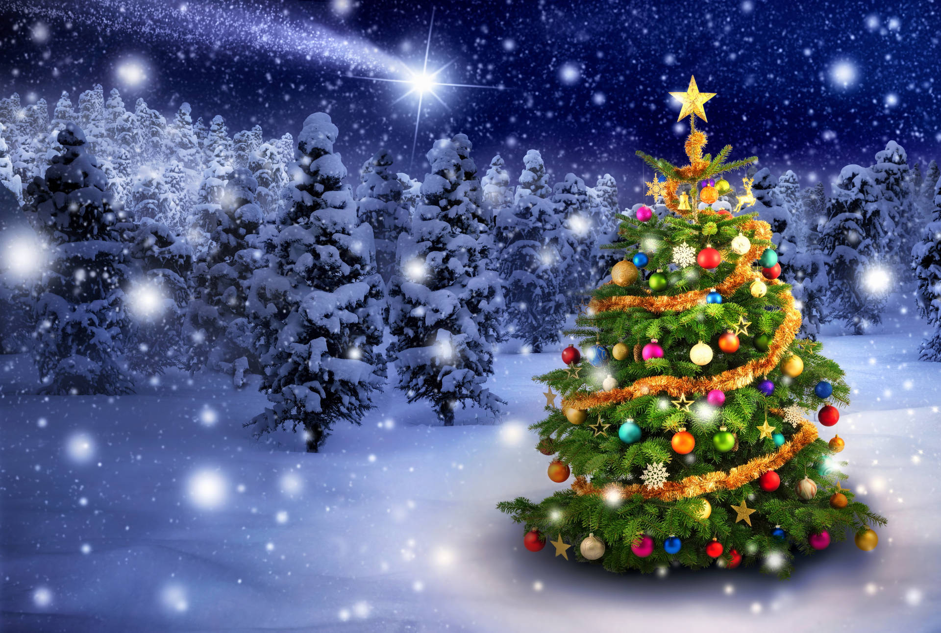Vinter jule træ og skudstjernwallpaper Wallpaper
