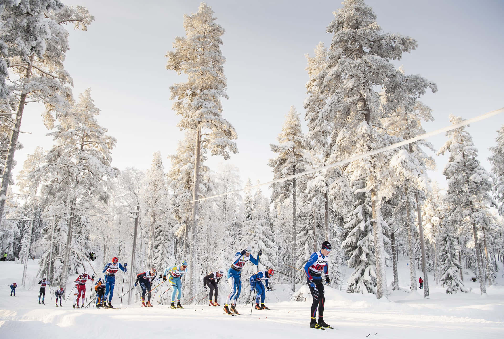 Winter Cross Country Skiing Competition Wallpaper