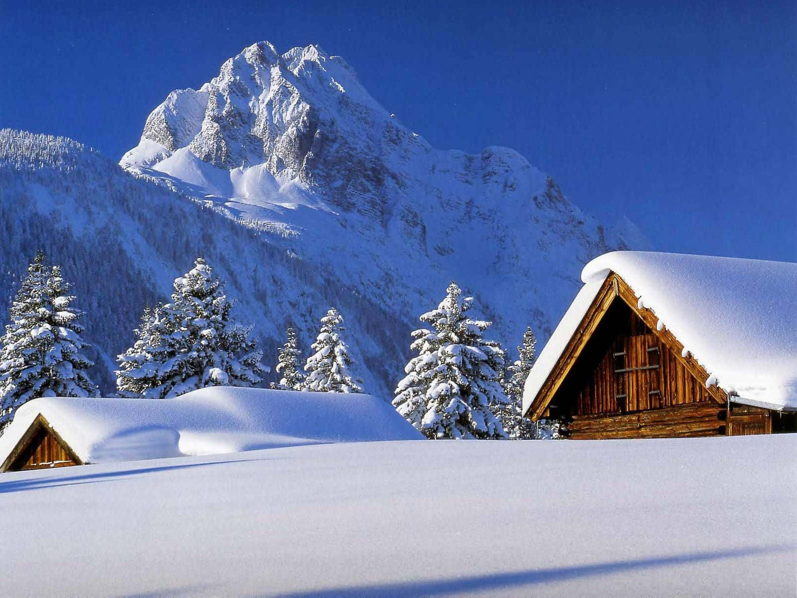 Serene Snow-covered Winter Wonderland