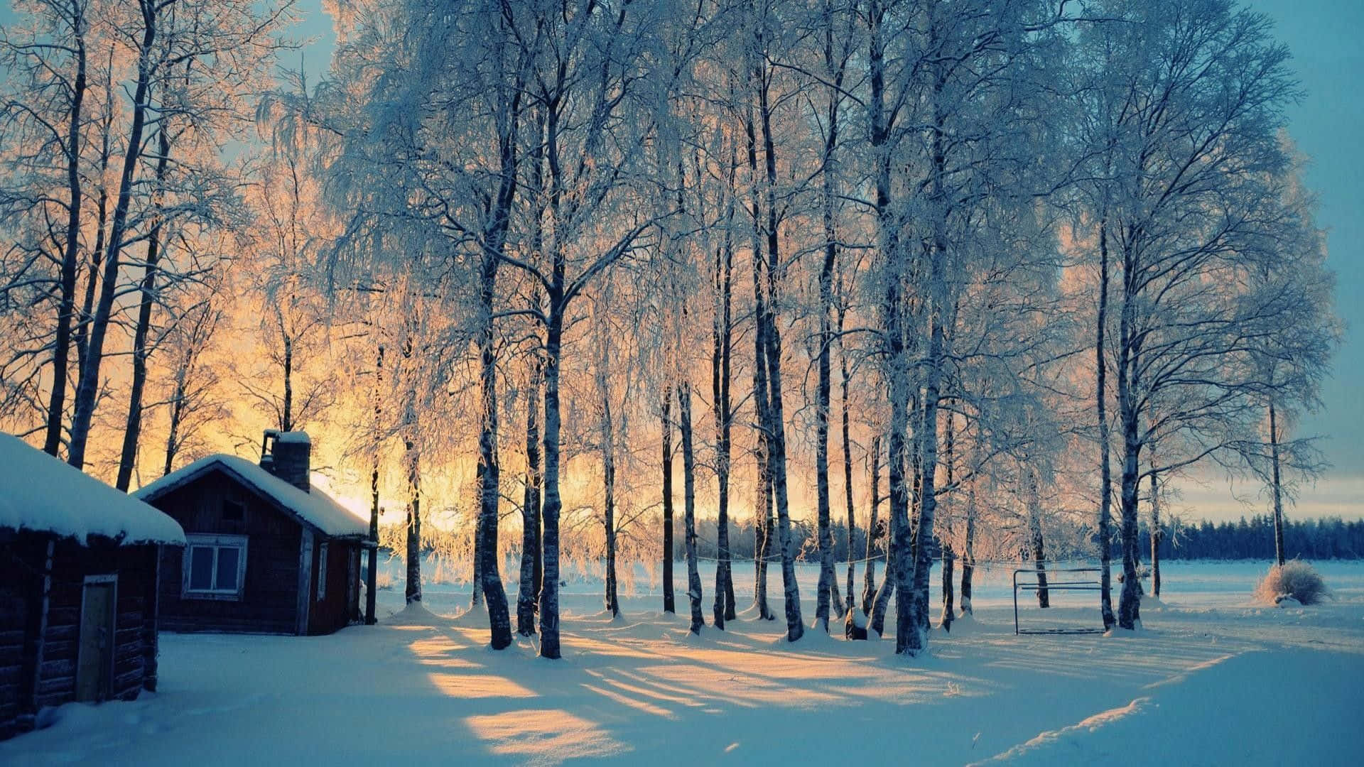 Snow-covered Forest at Sunset