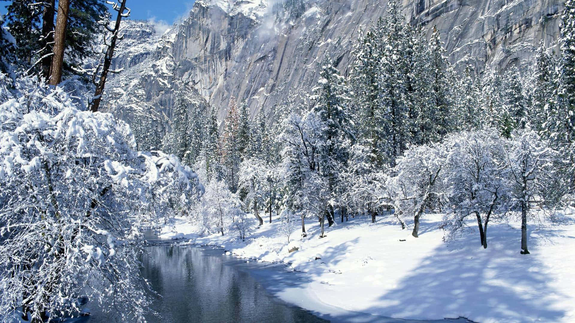 Snowy Winter Wonderland Desktop Background