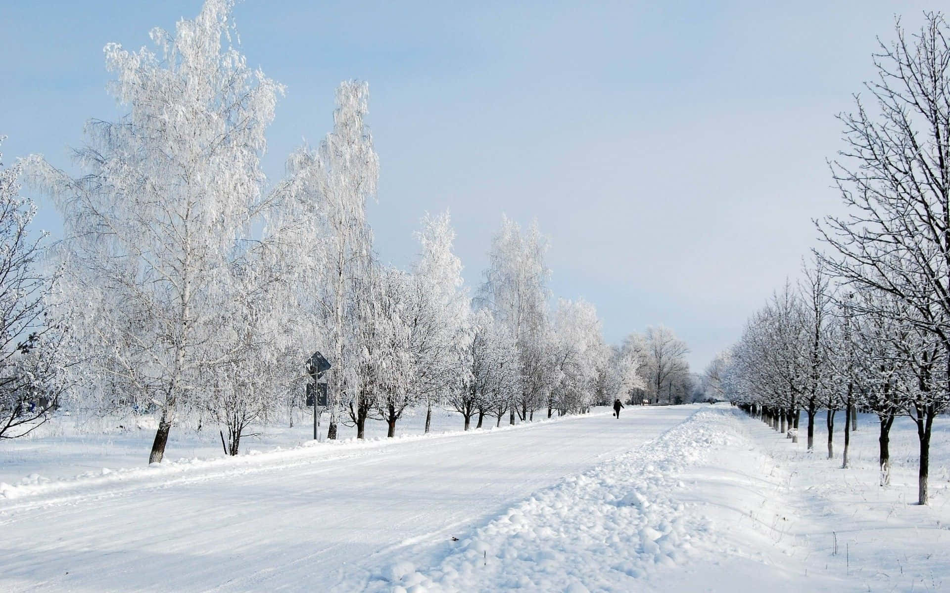 Serene Winter Wonderland
