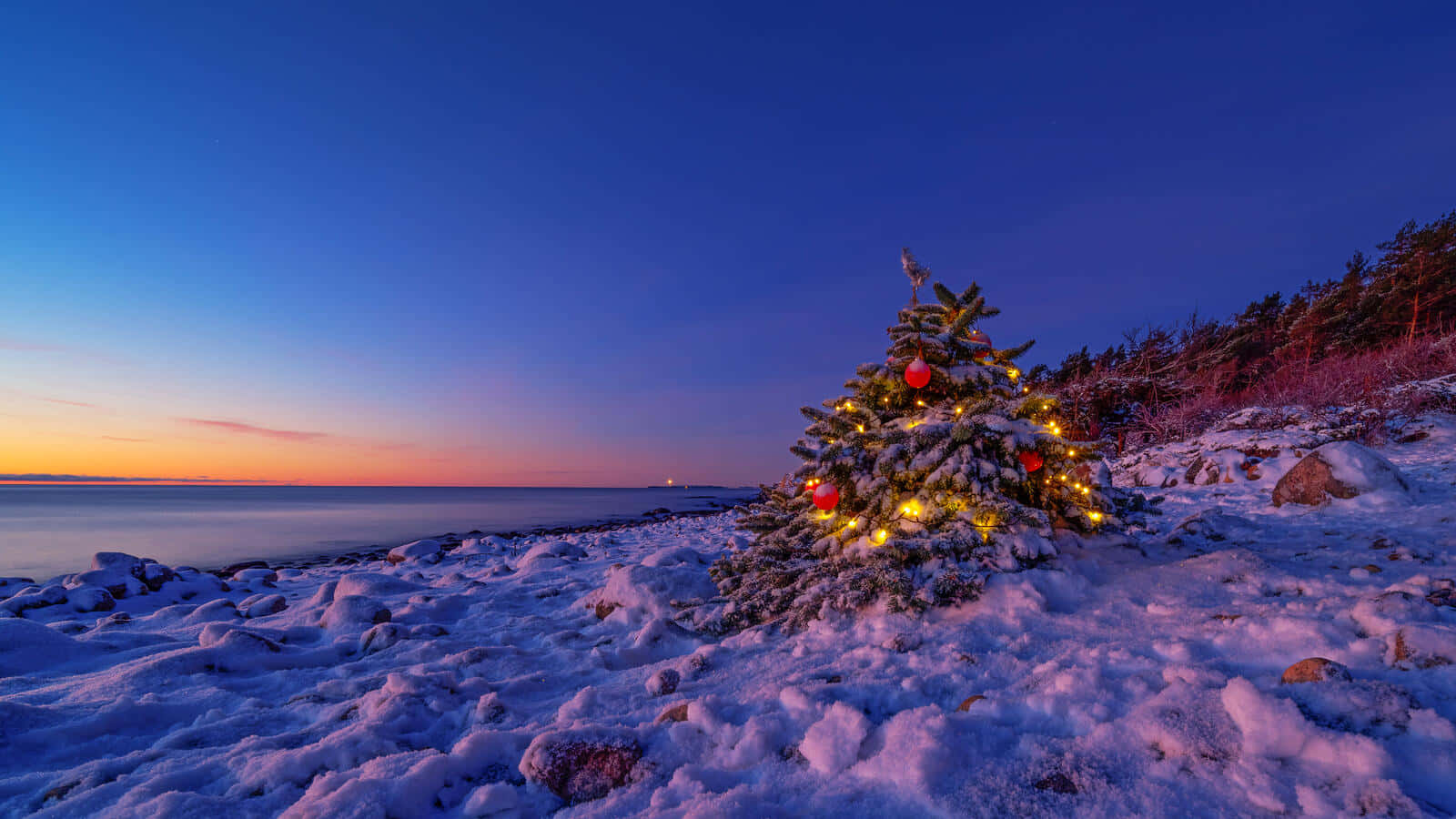 Winter Evening Christmas Treebythe Sea Wallpaper
