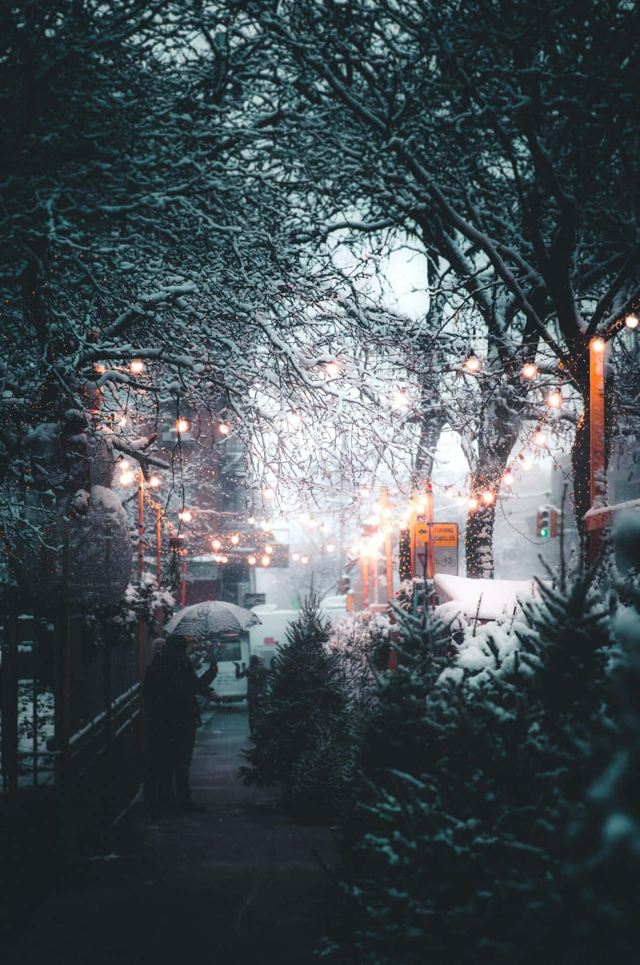 Winter Evening Snowfall.jpg Wallpaper