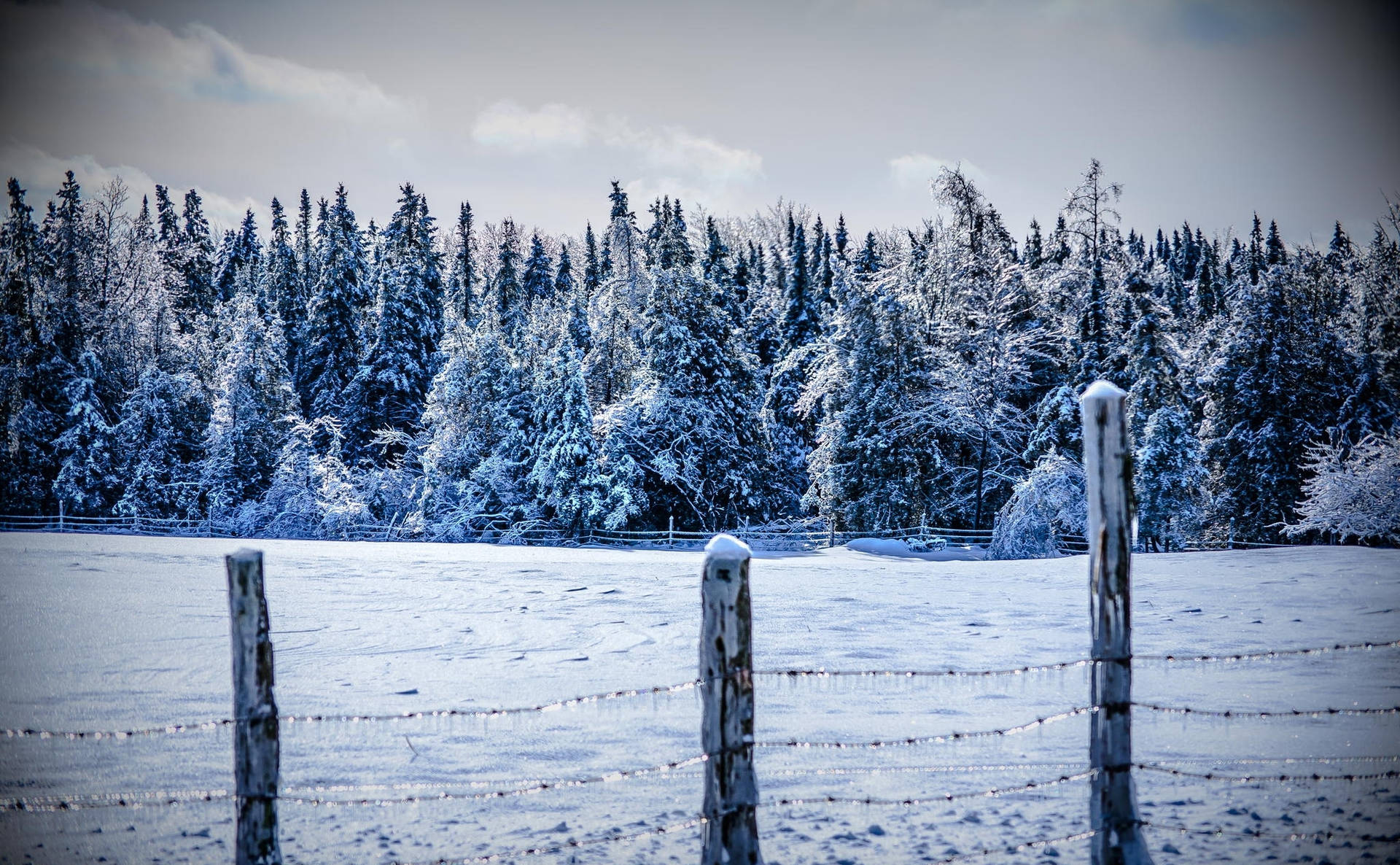 Winter Fence Landscape Wallpaper