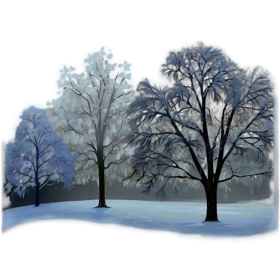 Winter Fog Transparent Png 05262024 PNG