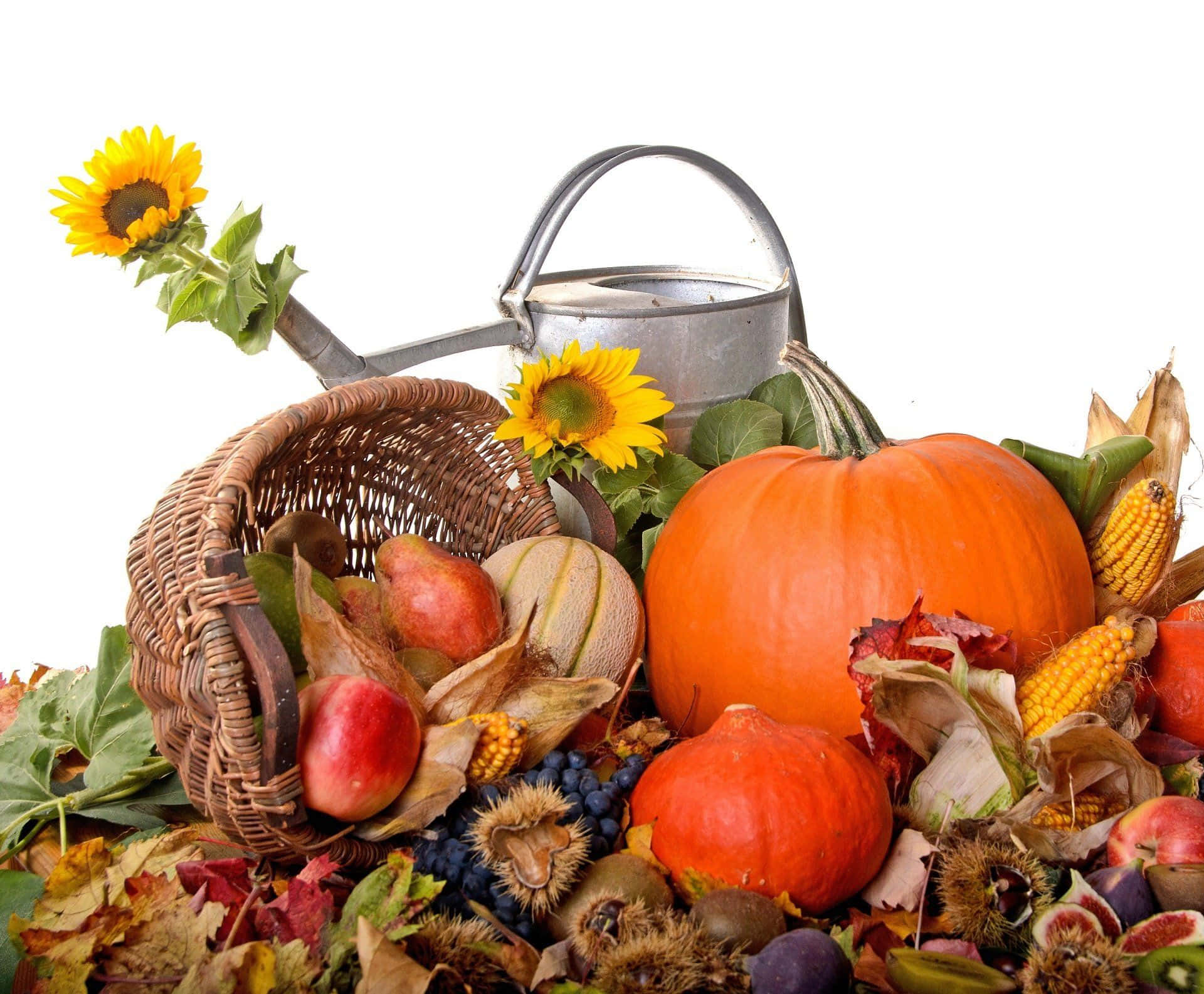 A delicious spread of winter food on a rustic table Wallpaper