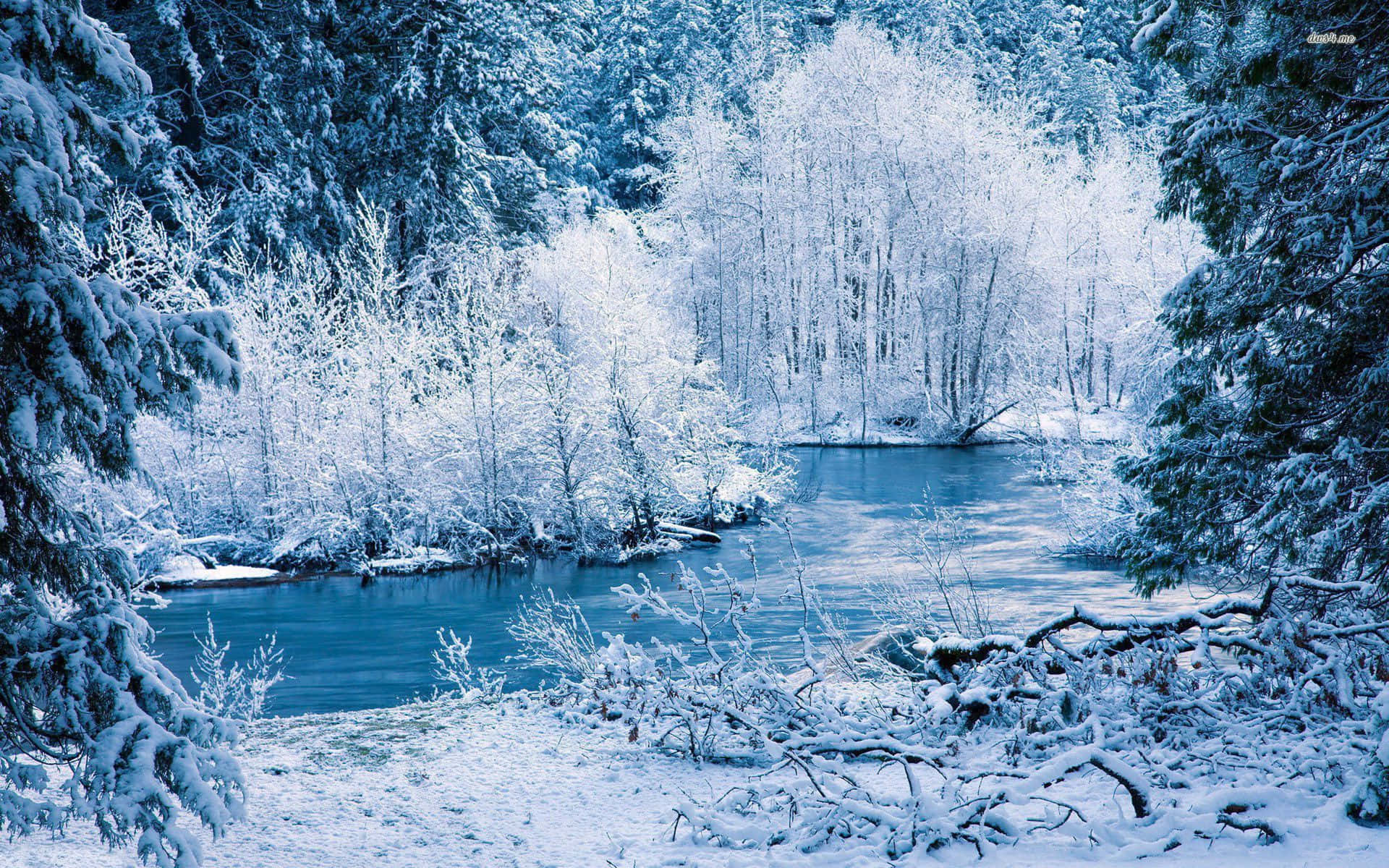 Walk through a winter wonderland Wallpaper