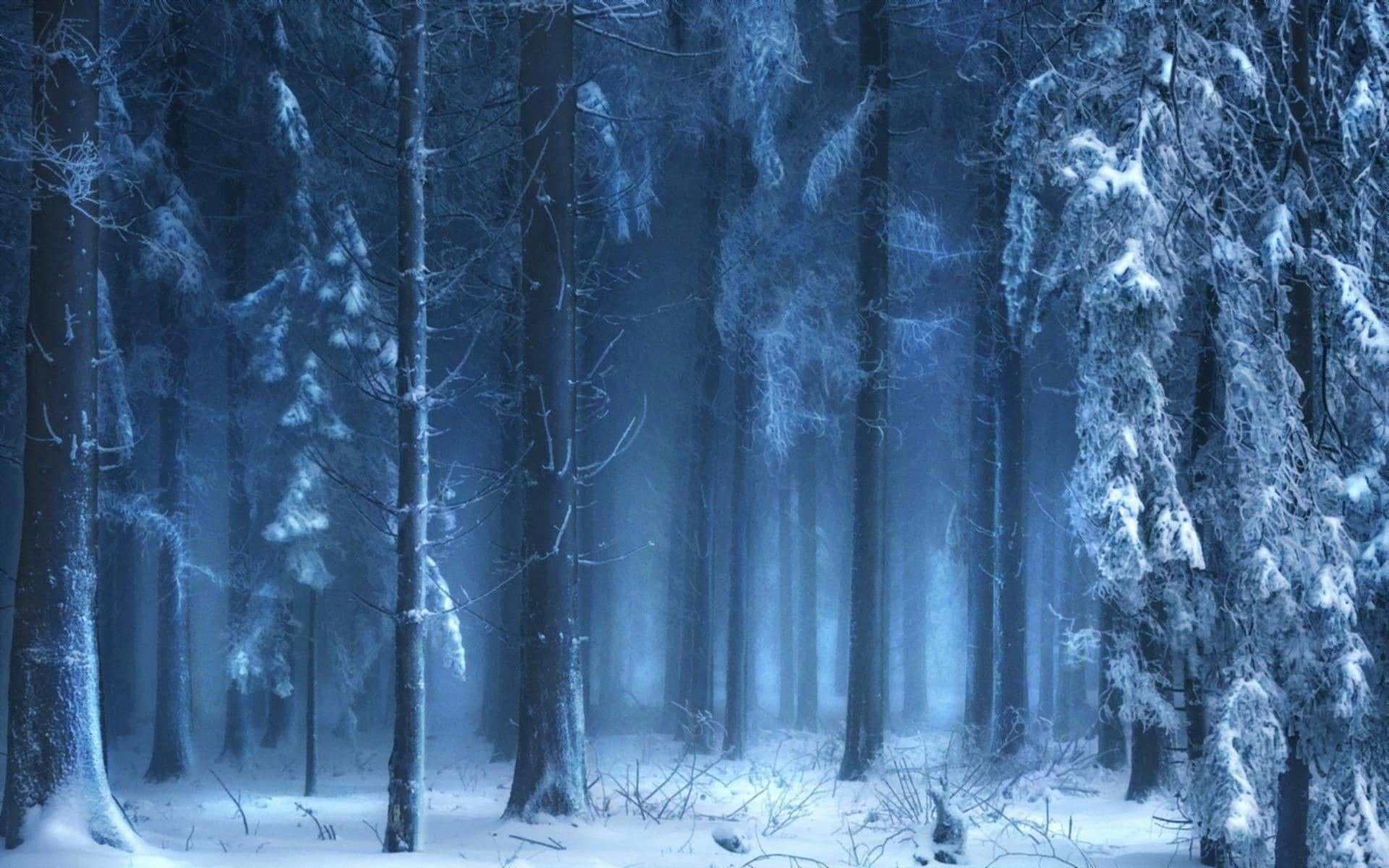 Embrace the Peace and Beauty of Winter Forests Wallpaper