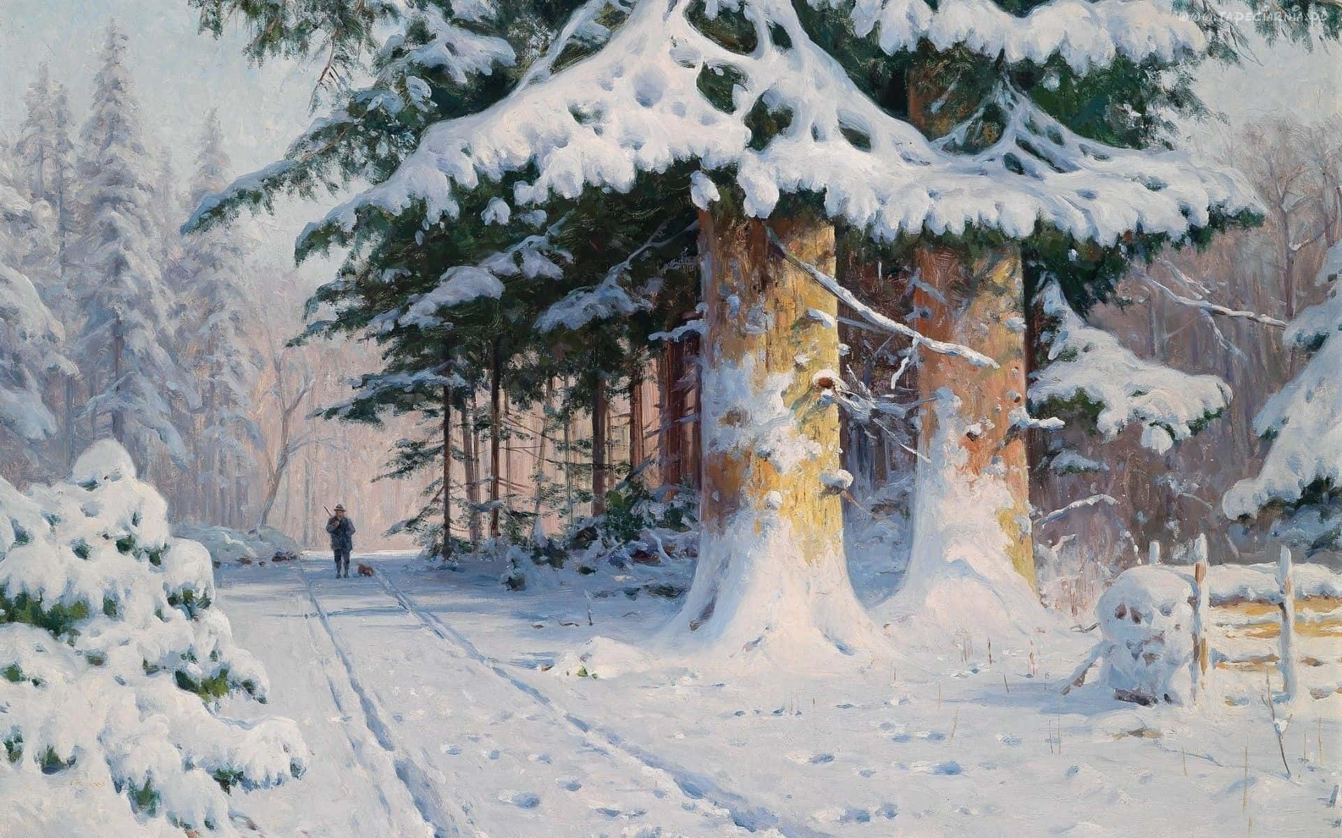 Stunning View of a Silent Winter Forest Wallpaper