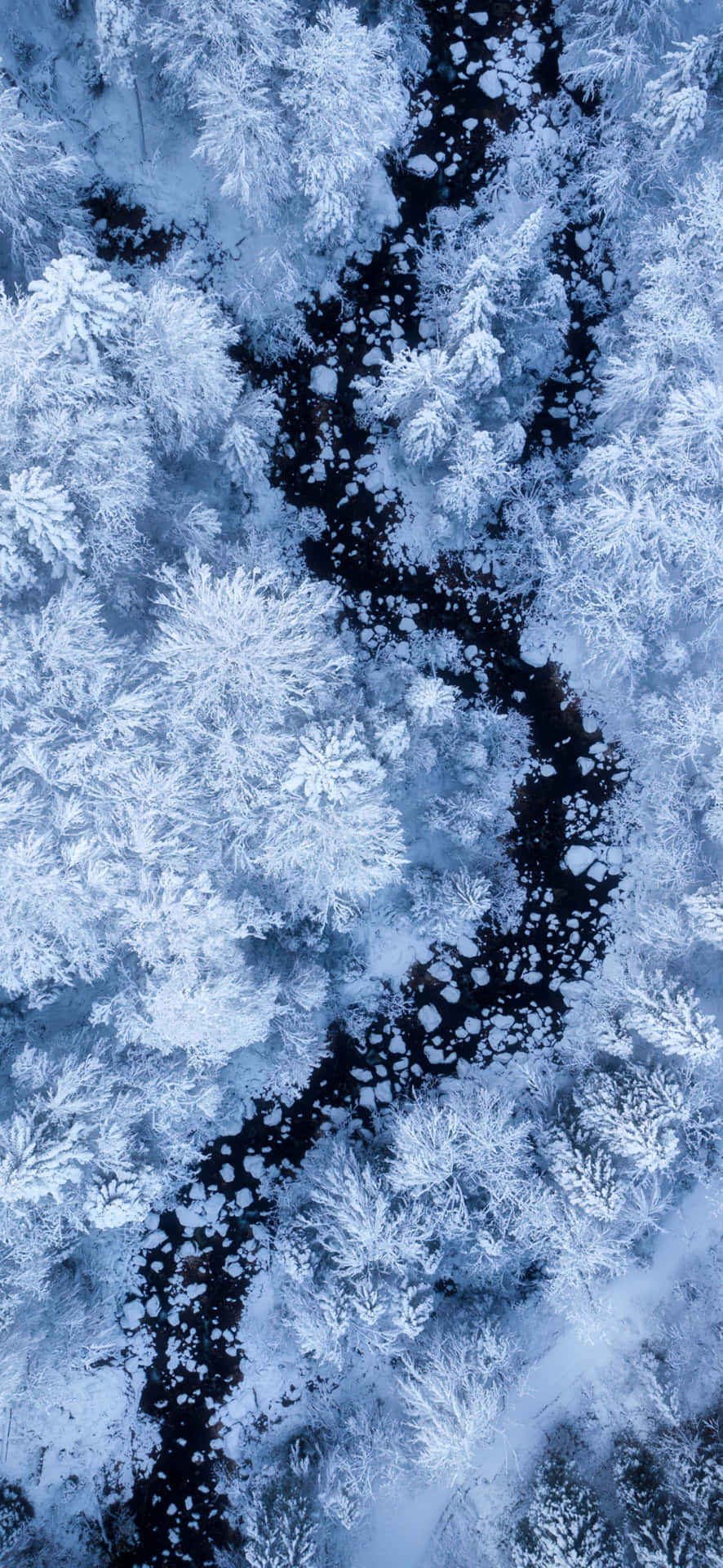 Vue Aérienne D'une Forêt D'hiver Avec Arbres Enneigés Et Rivière Fond d'écran