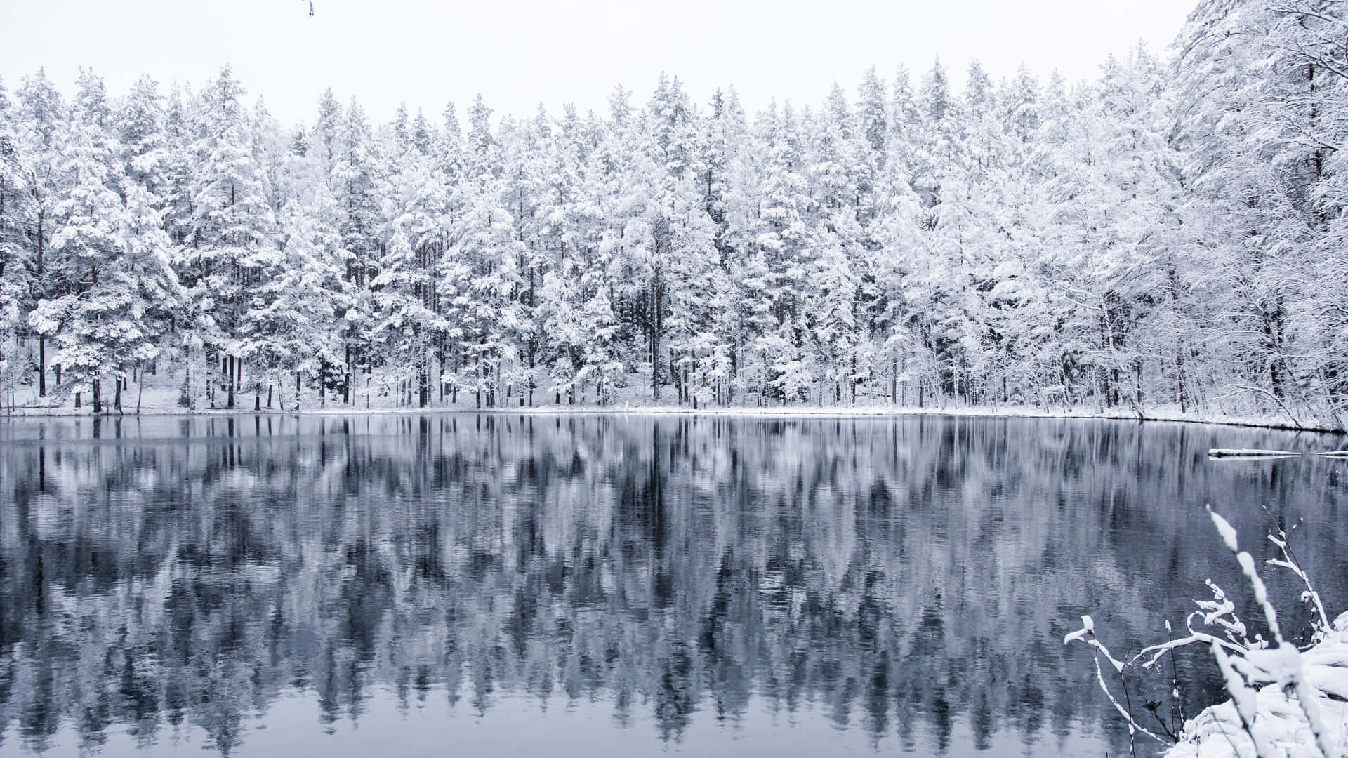 "Soak in the Serenity of NatureThis Winter in the Forest"