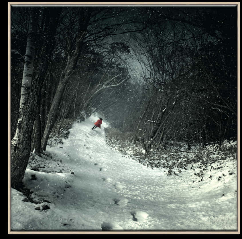 Winter_ Forest_ Path_with_ Red_ Jacket PNG