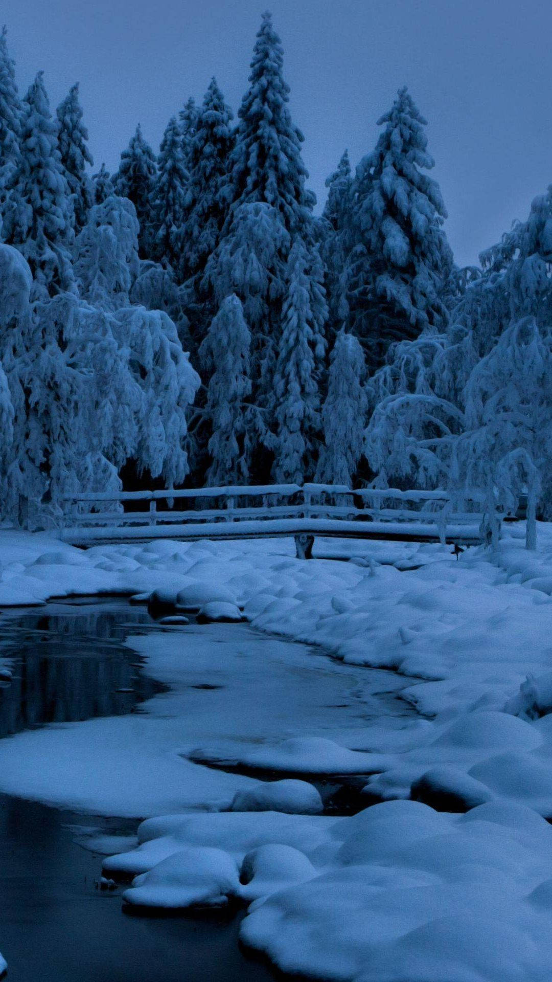 Vinter Skog Snødekt Skumring.jpg Bakgrunnsbildet