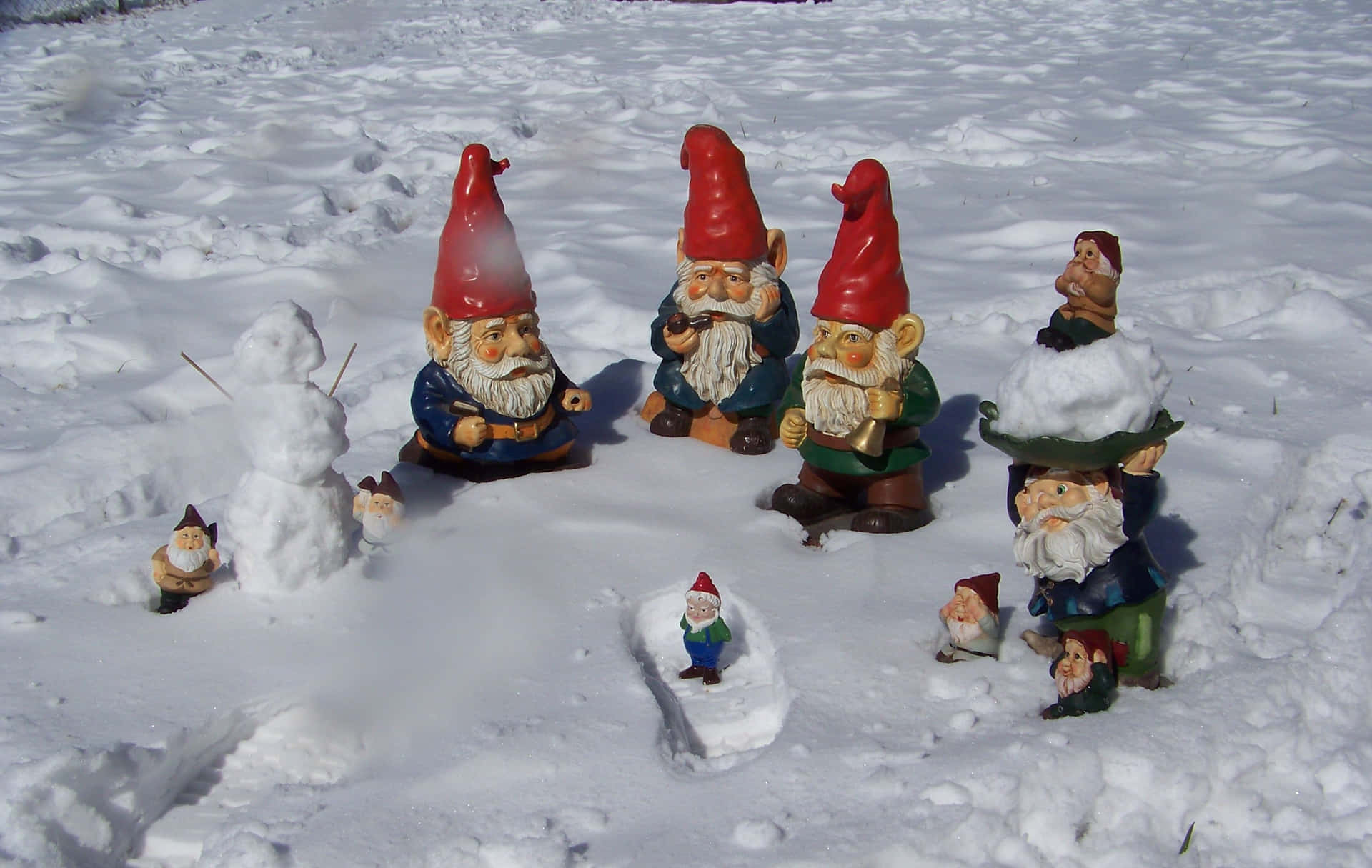 Winter Garden Gnomes Gathering Wallpaper