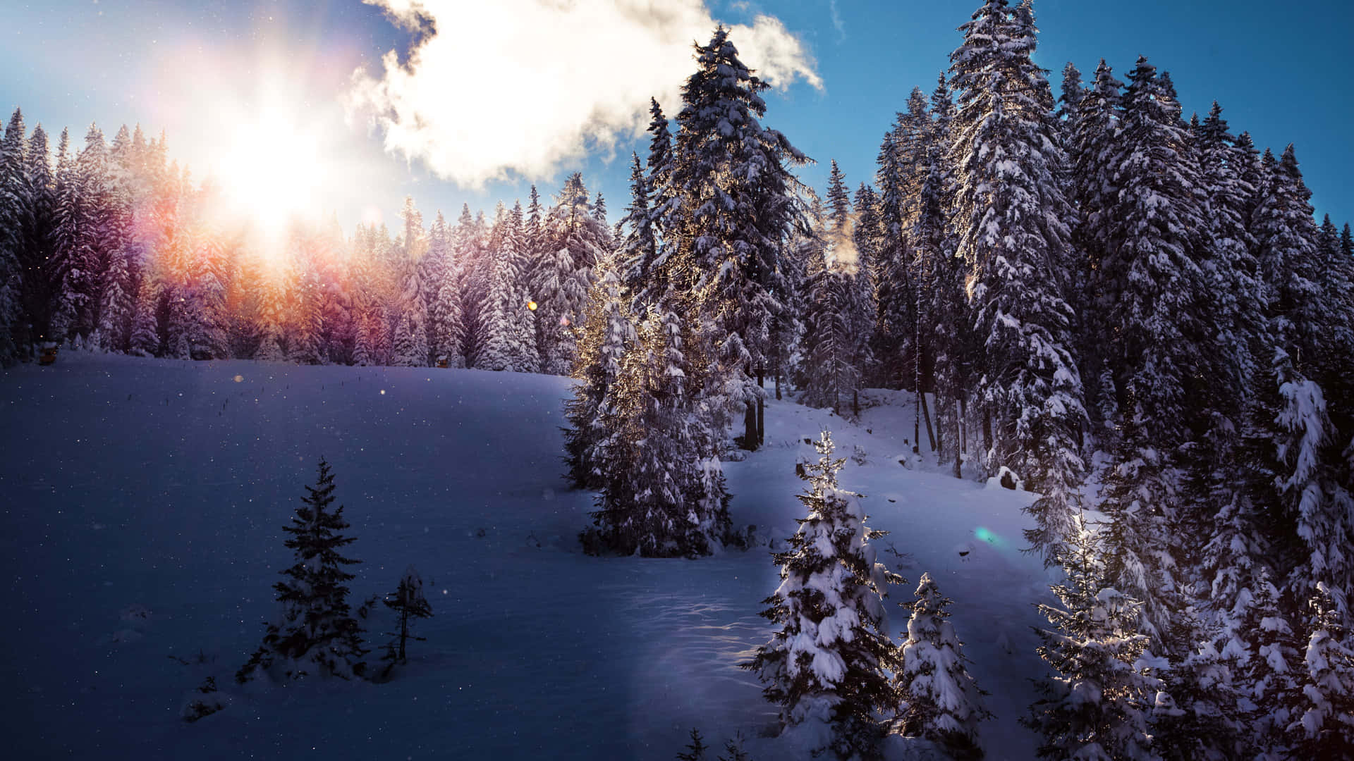 Unpaesaggio Invernale - Goditi La Vista Coperta Di Neve. Sfondo