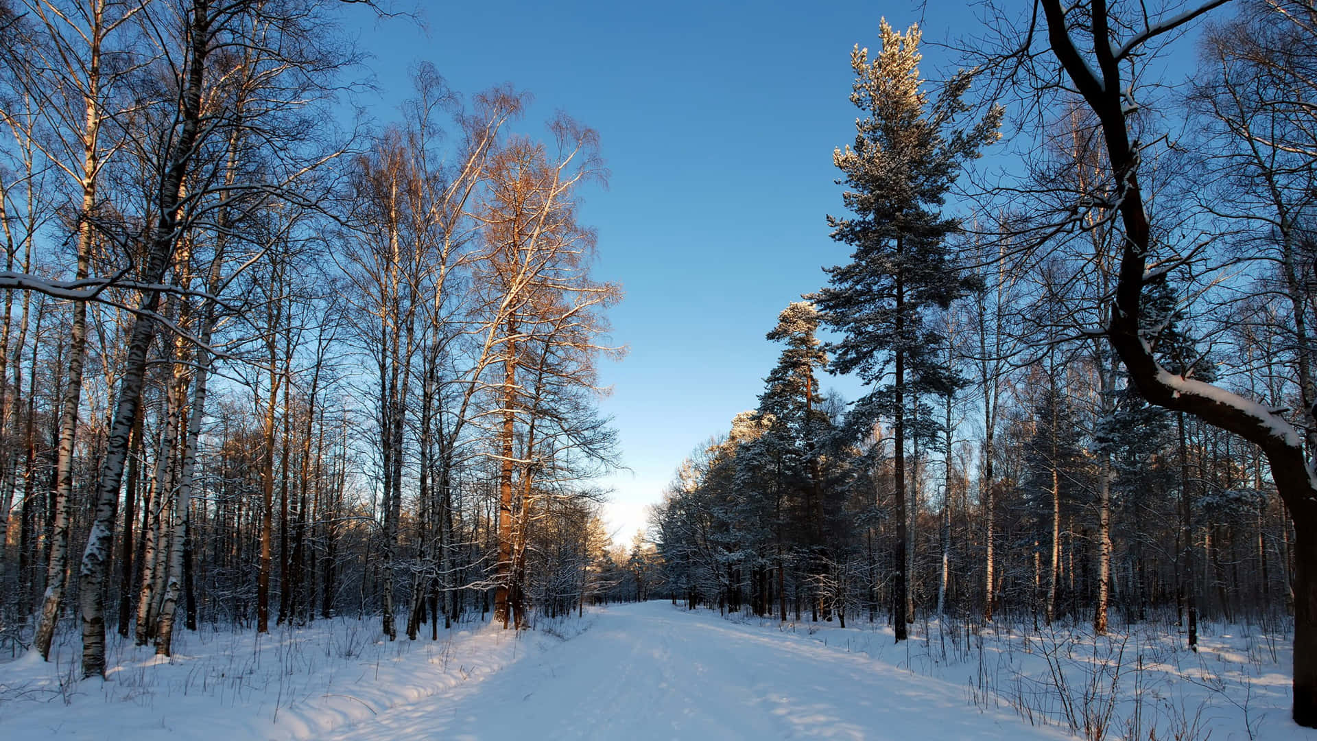 A Serene Winter Landscape Wallpaper
