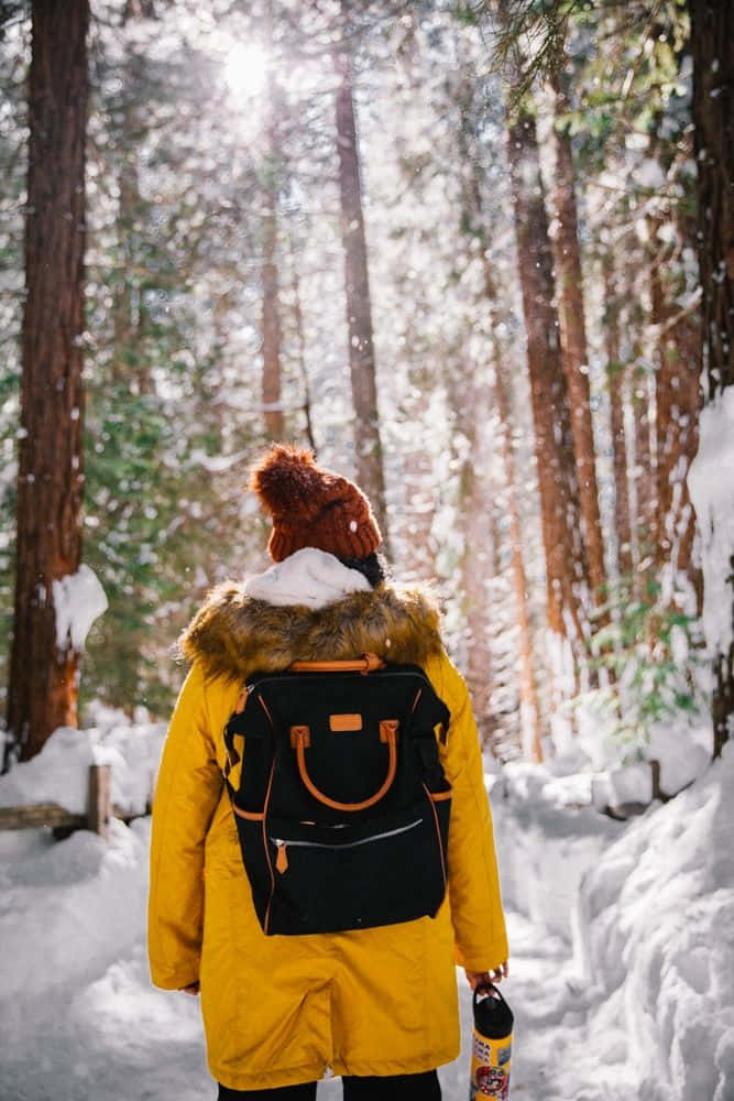 Winter Hiking Adventure in Stunning Snow-covered Scenery Wallpaper