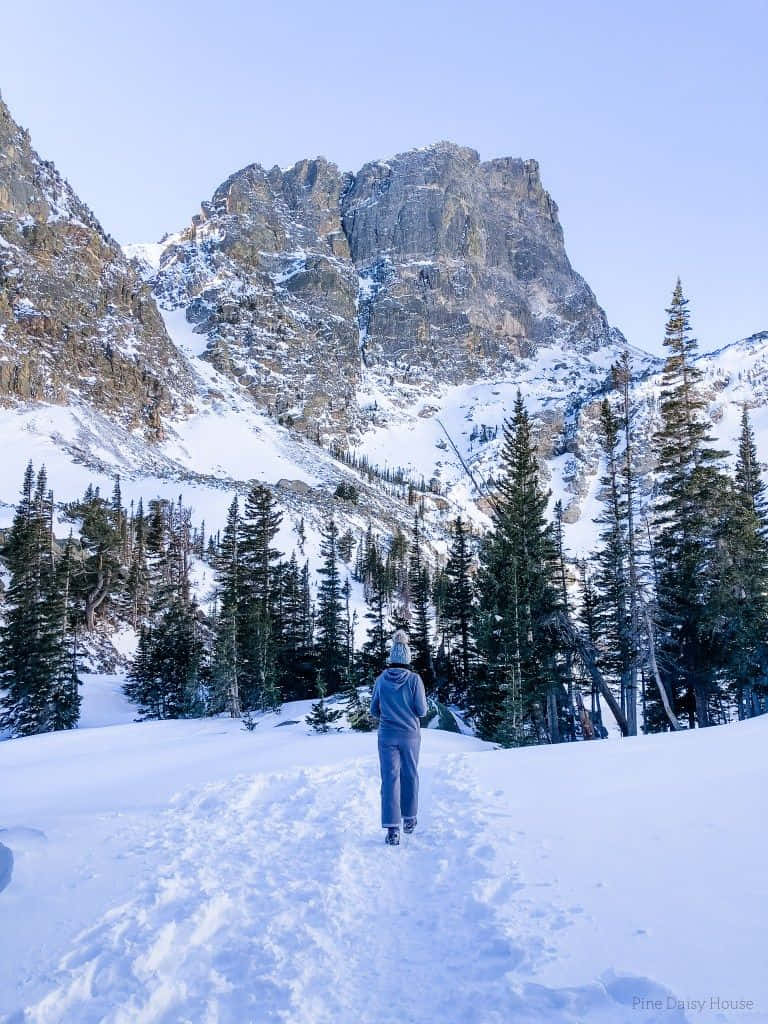 Adventurous Winter Hike in Snowy Mountains Wallpaper