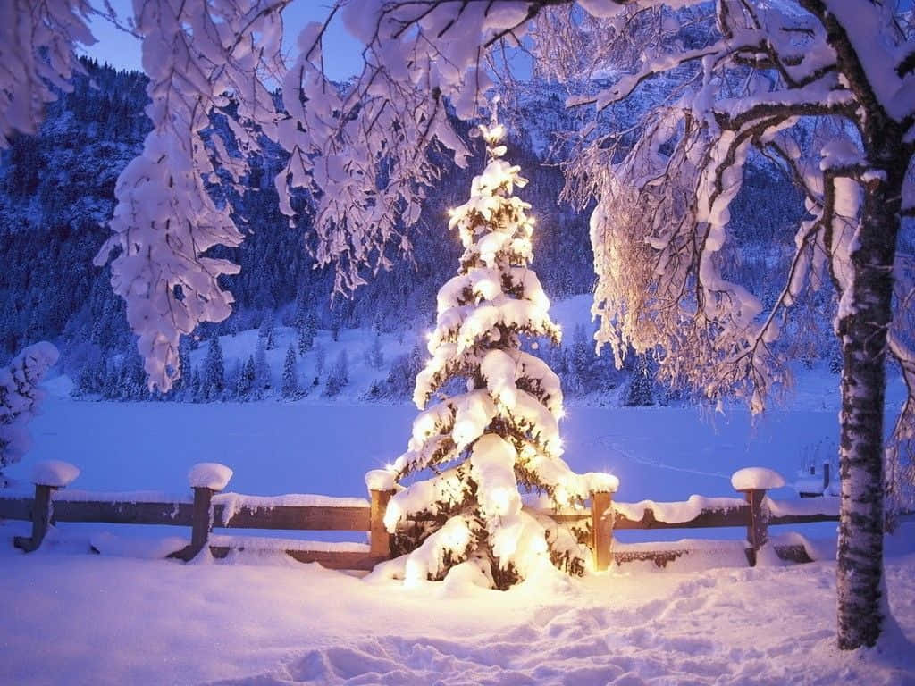 Winter Holiday Desktop With Large Christmas Tree Wallpaper