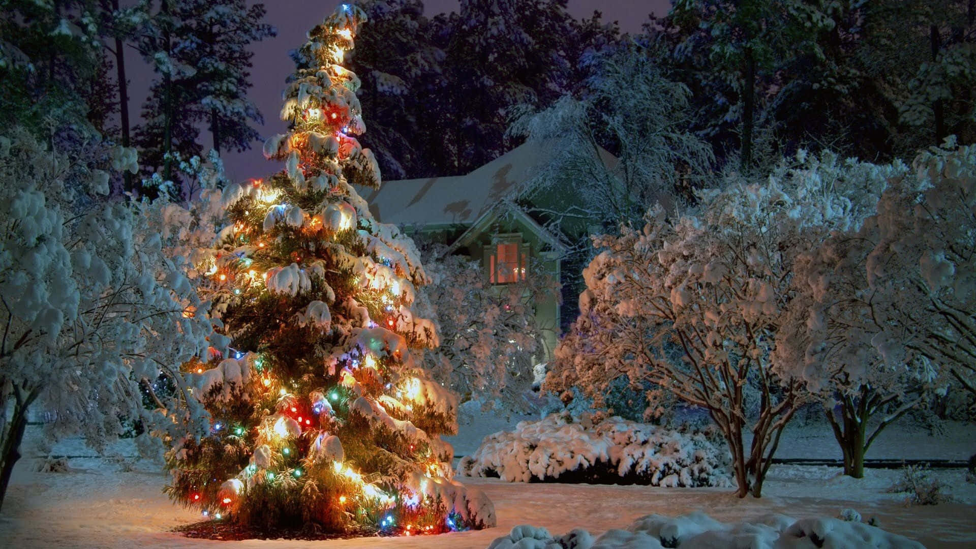 Winterlicherfeiertags-desktop Mit Einem Weihnachtsbaum Und Bunten Lichtern. Wallpaper