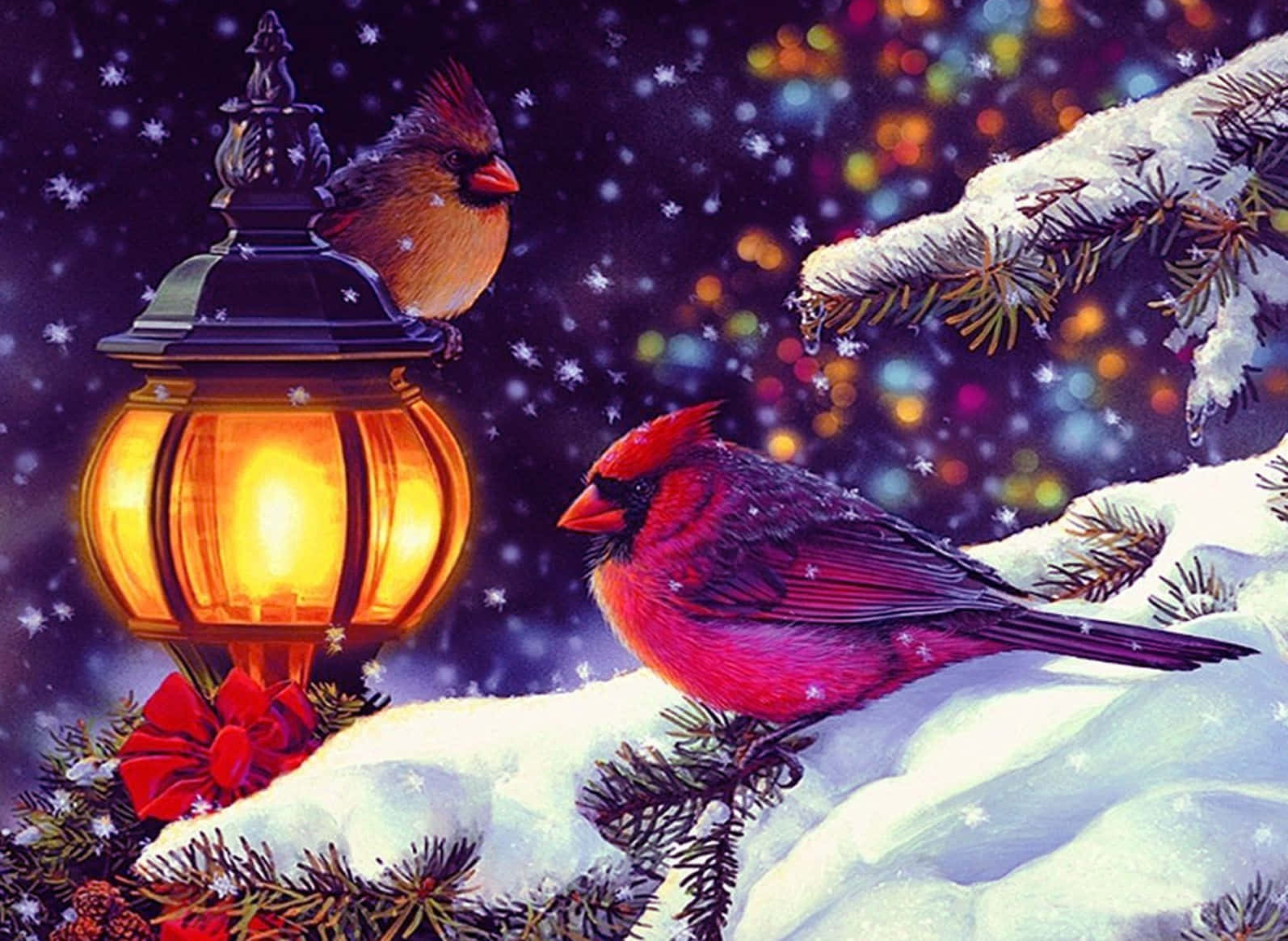 Winter Holiday Desktop With Two Cardinal Birds Wallpaper