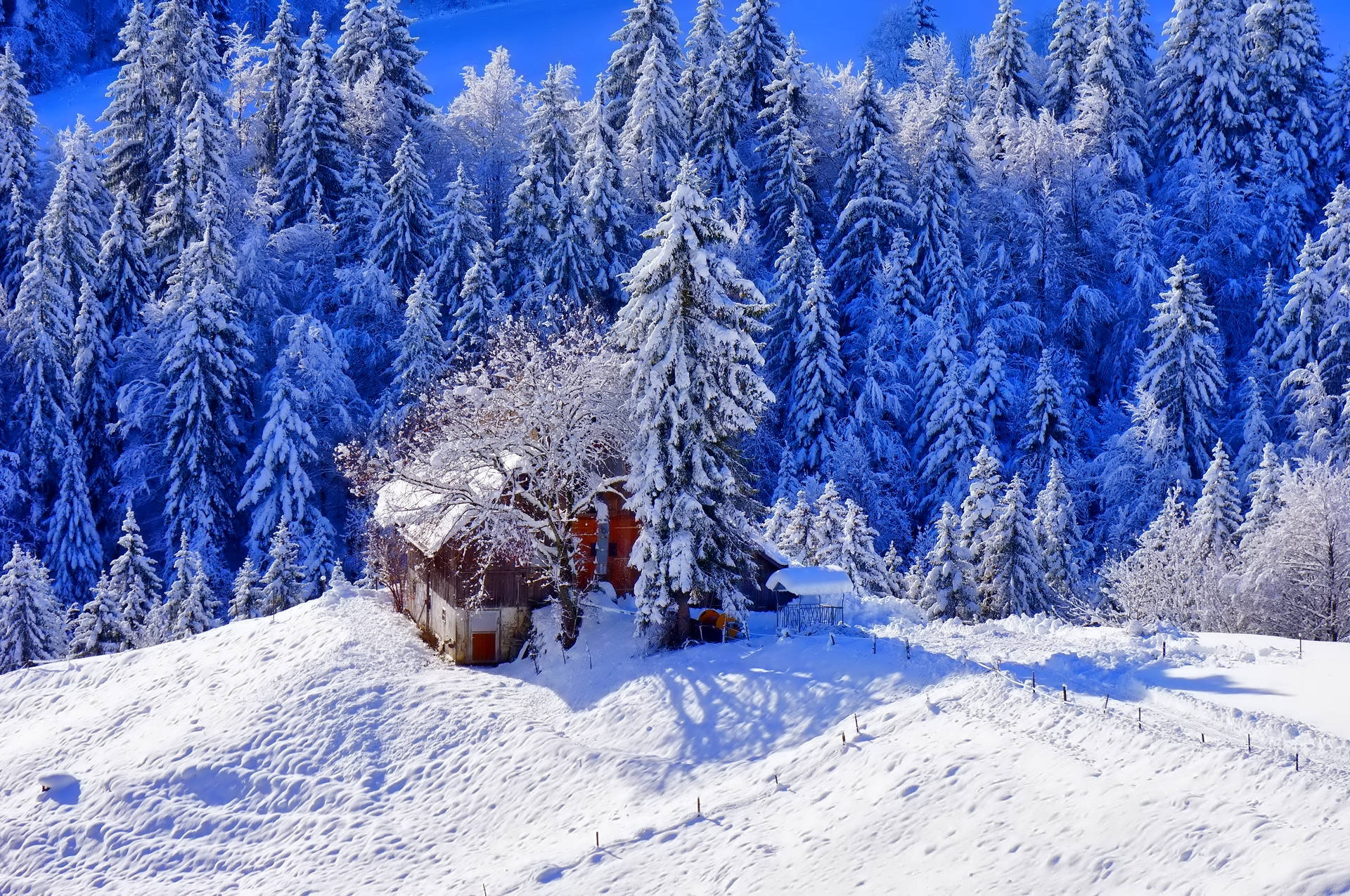 Winter House On Snow