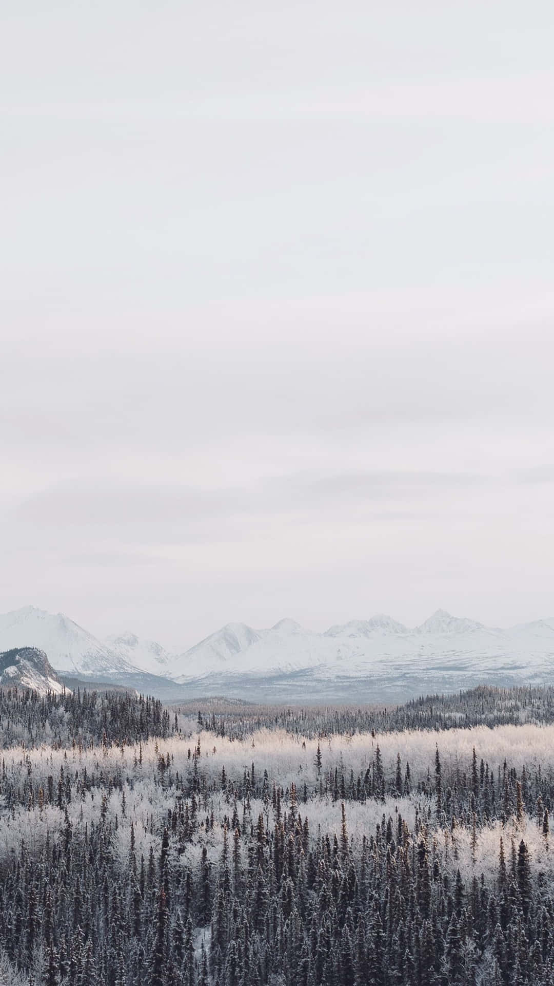 En Frisk Scene af Vinter med en Iphone 6 Plus Wallpaper