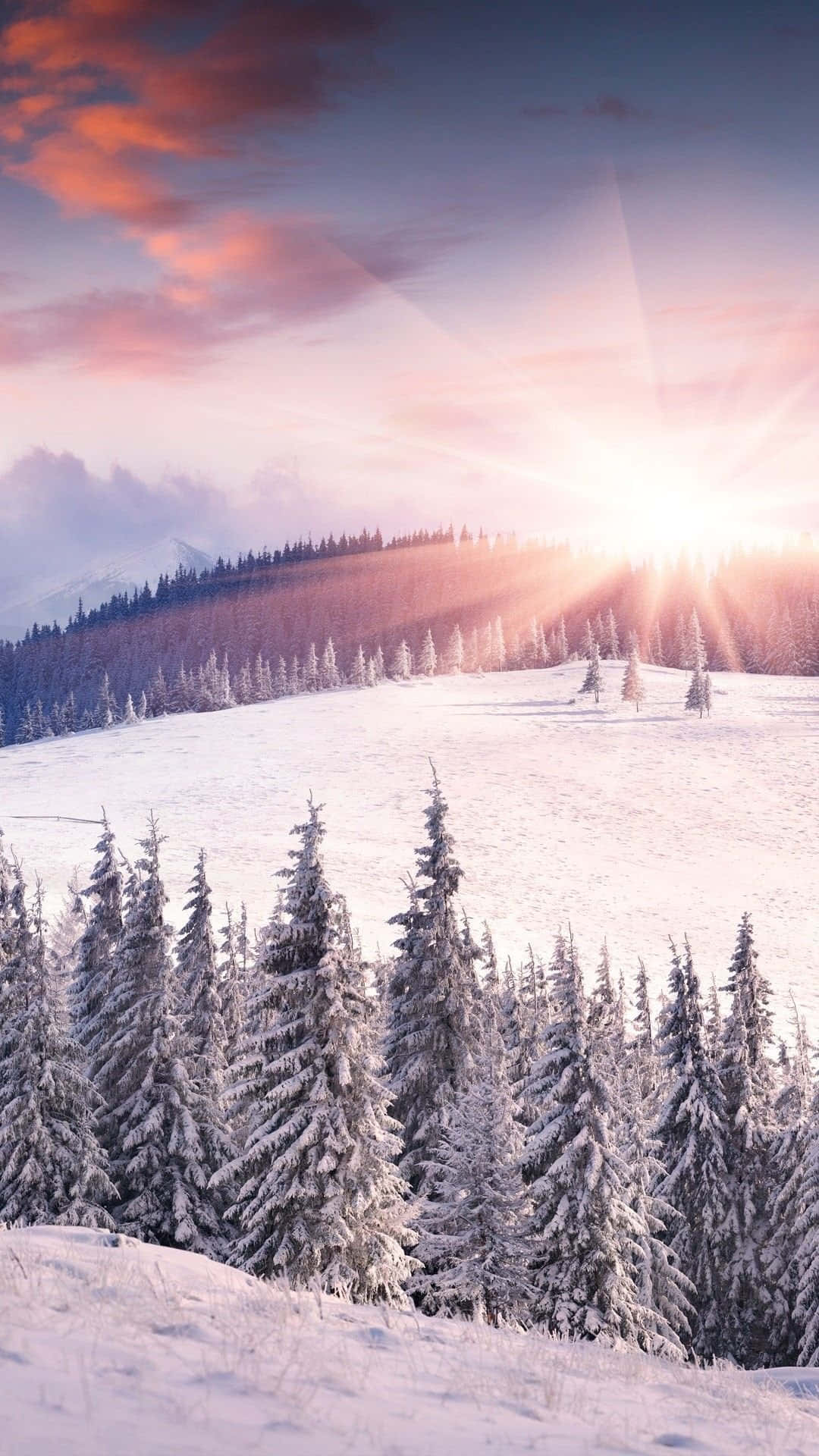 Eineschneebedeckte Landschaft Mit Bäumen Und Sonne. Wallpaper