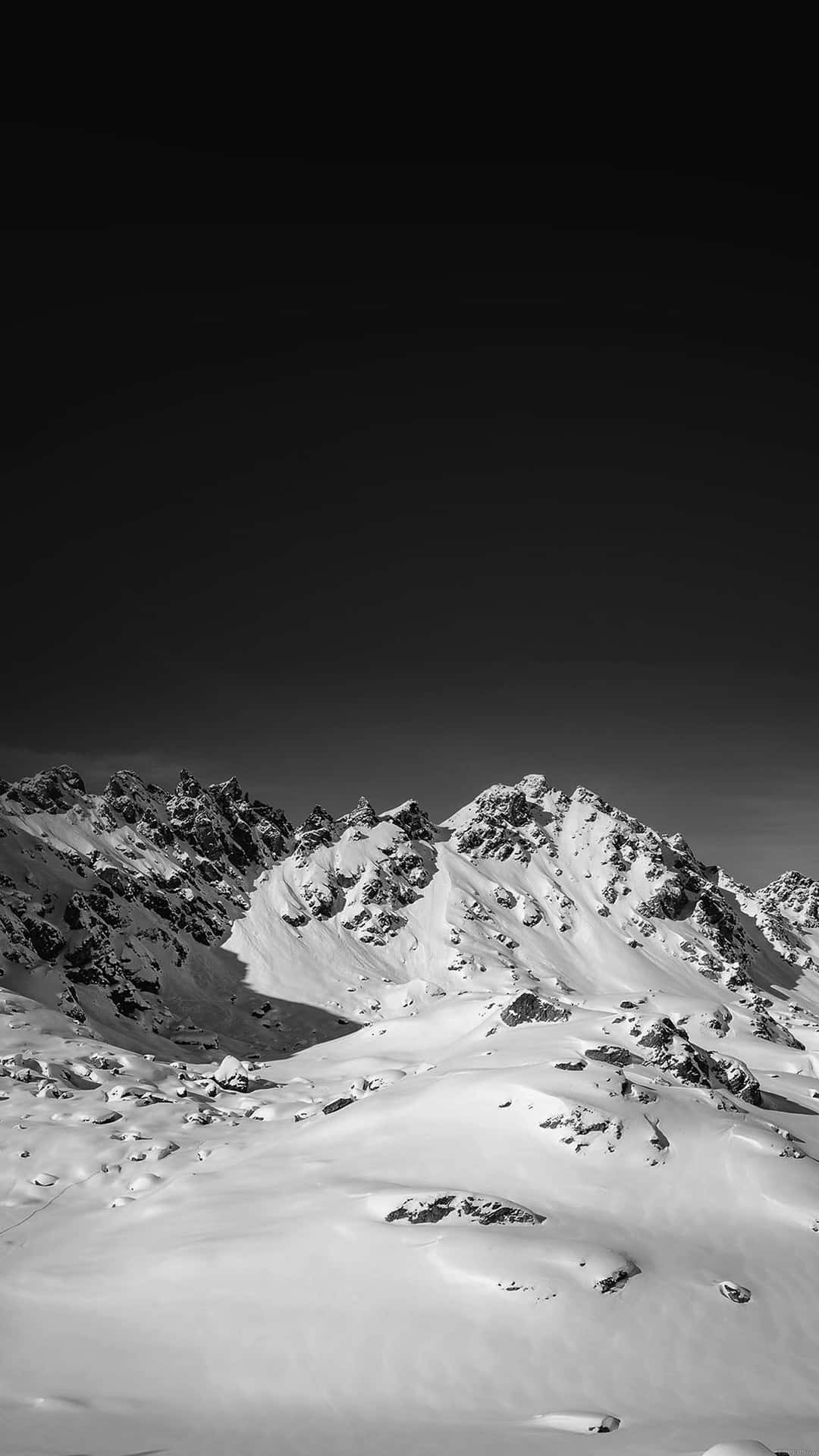 Black And White Winter iPhone 6 Plus Wallpaper