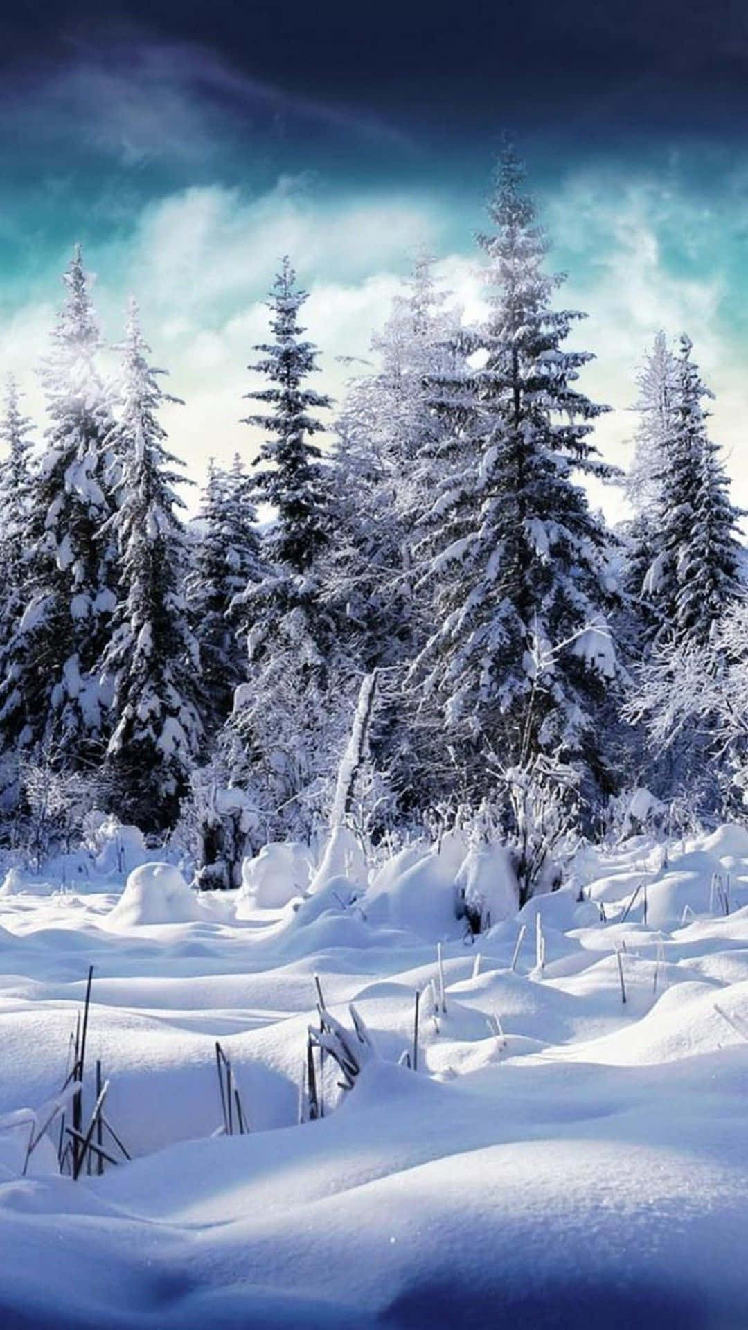 Vinteren iPhone 6 Plus Mørk Sky Forestillende ABVE Wallpaper