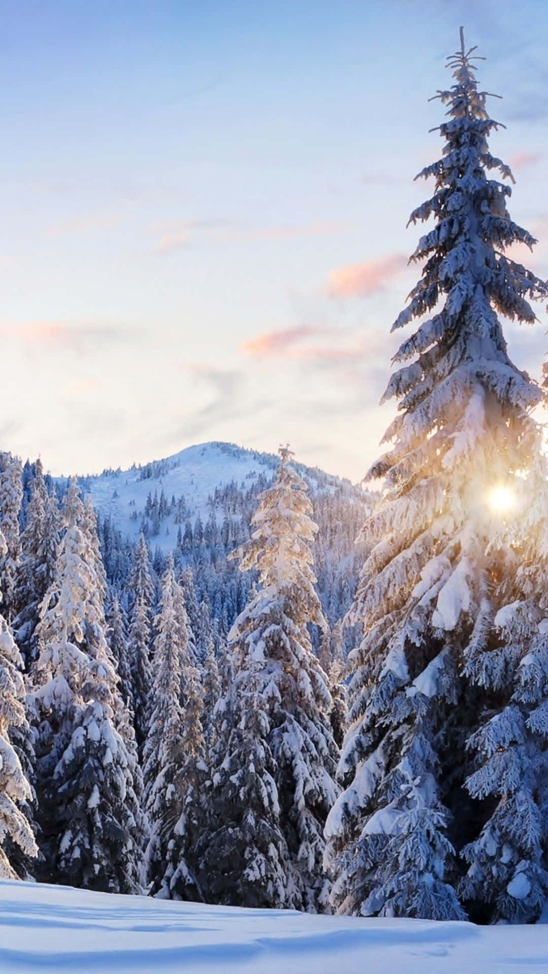 Put the Power of Winter in Your Hands with the New Iphone 6 Plus Wallpaper