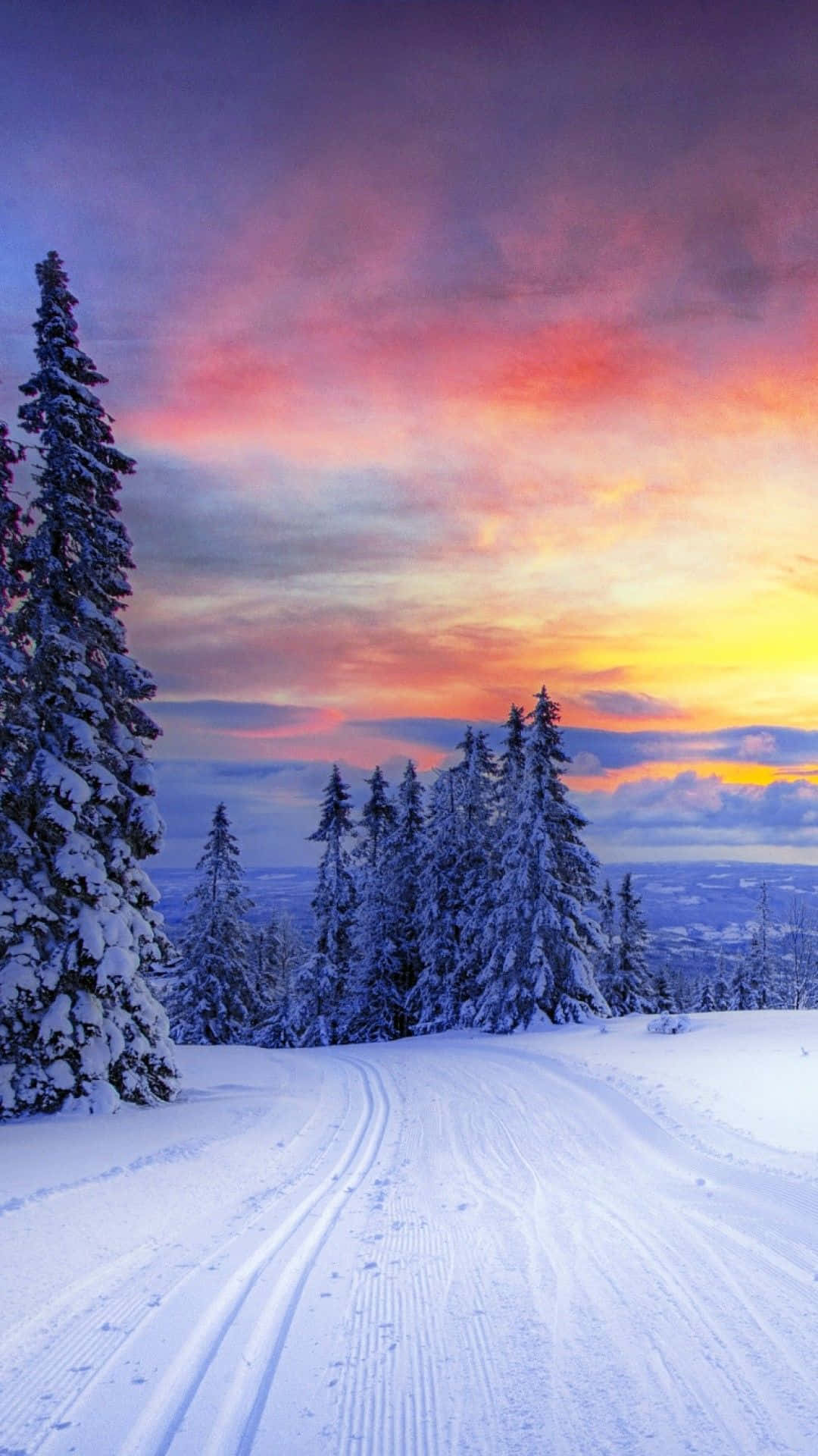Enjoy Winter With a Brand New Iphone 6 Plus Wallpaper