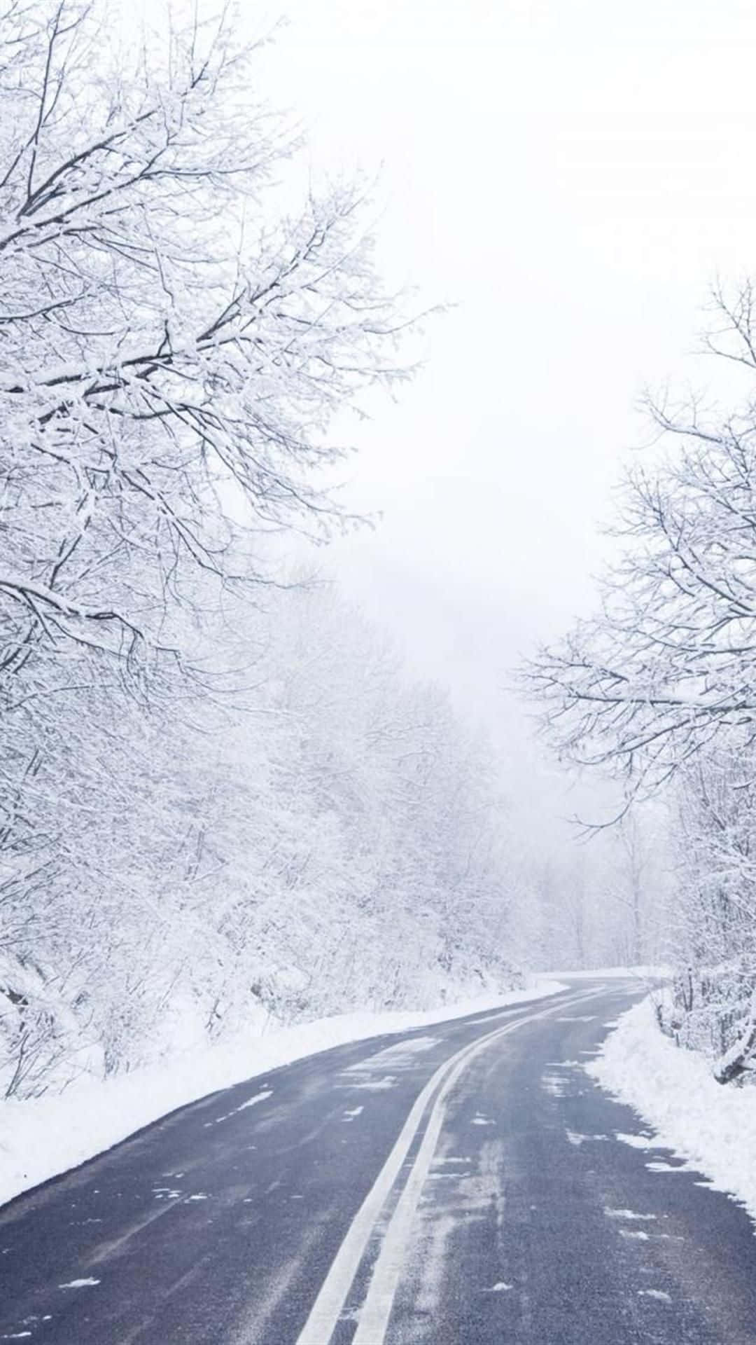 A Road Covered In Snow With Trees In The Background Wallpaper