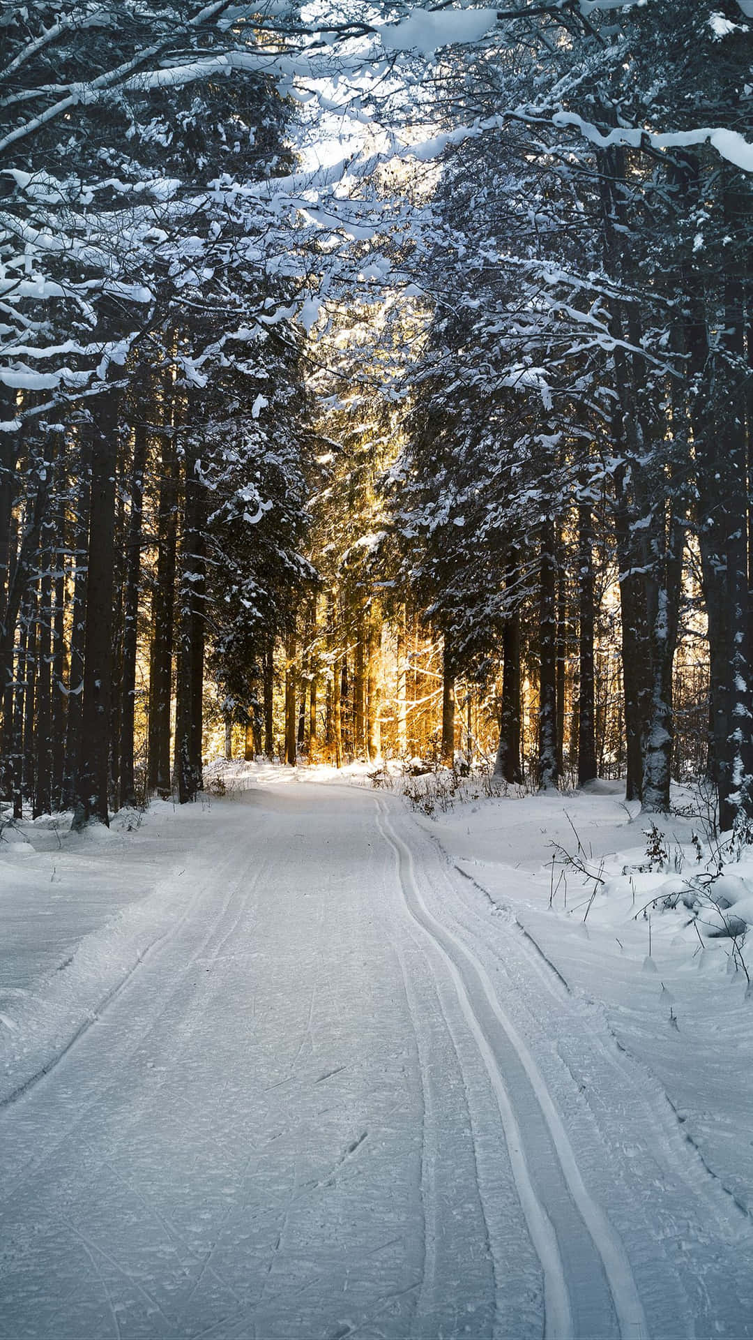 Fange skønheden af vinteren med en iPhone baggrundsbillede. Wallpaper